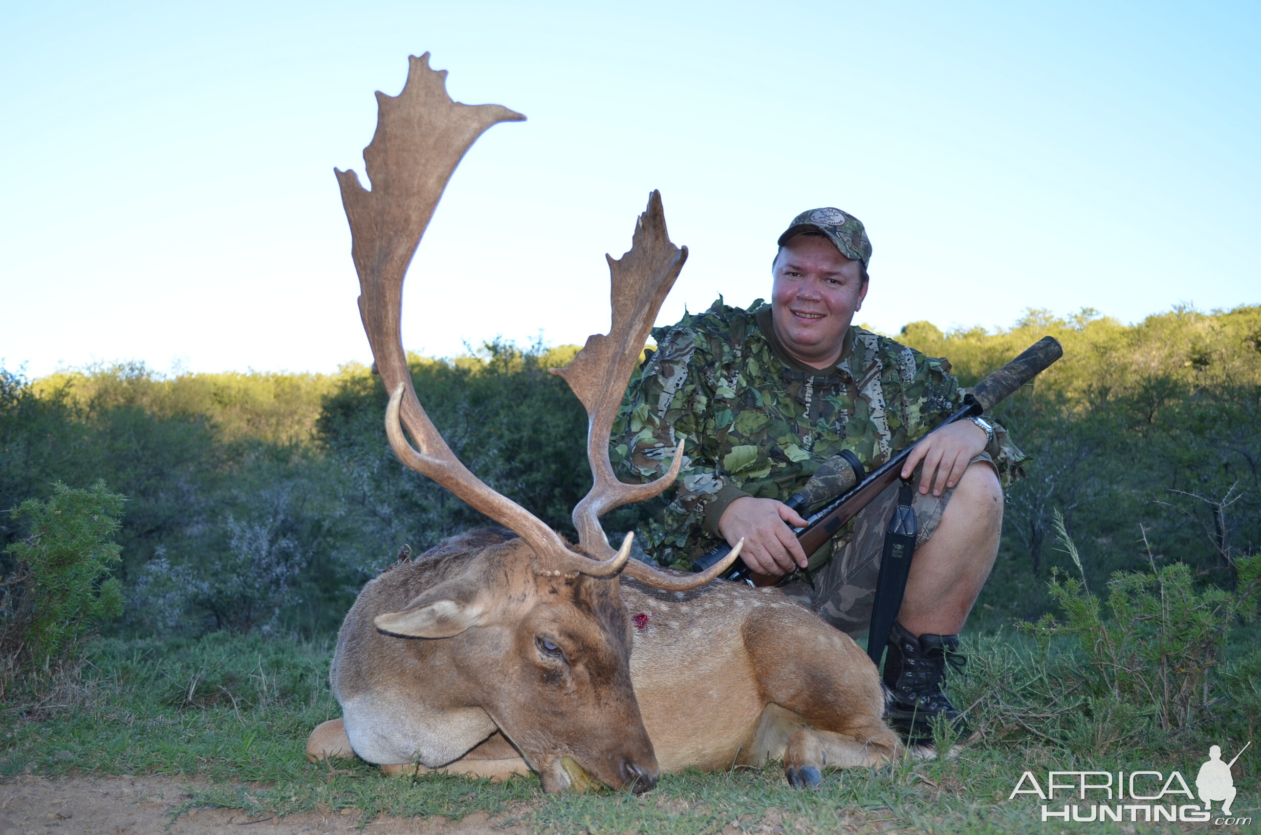 Fallow Deer KMG Hunting Safaris