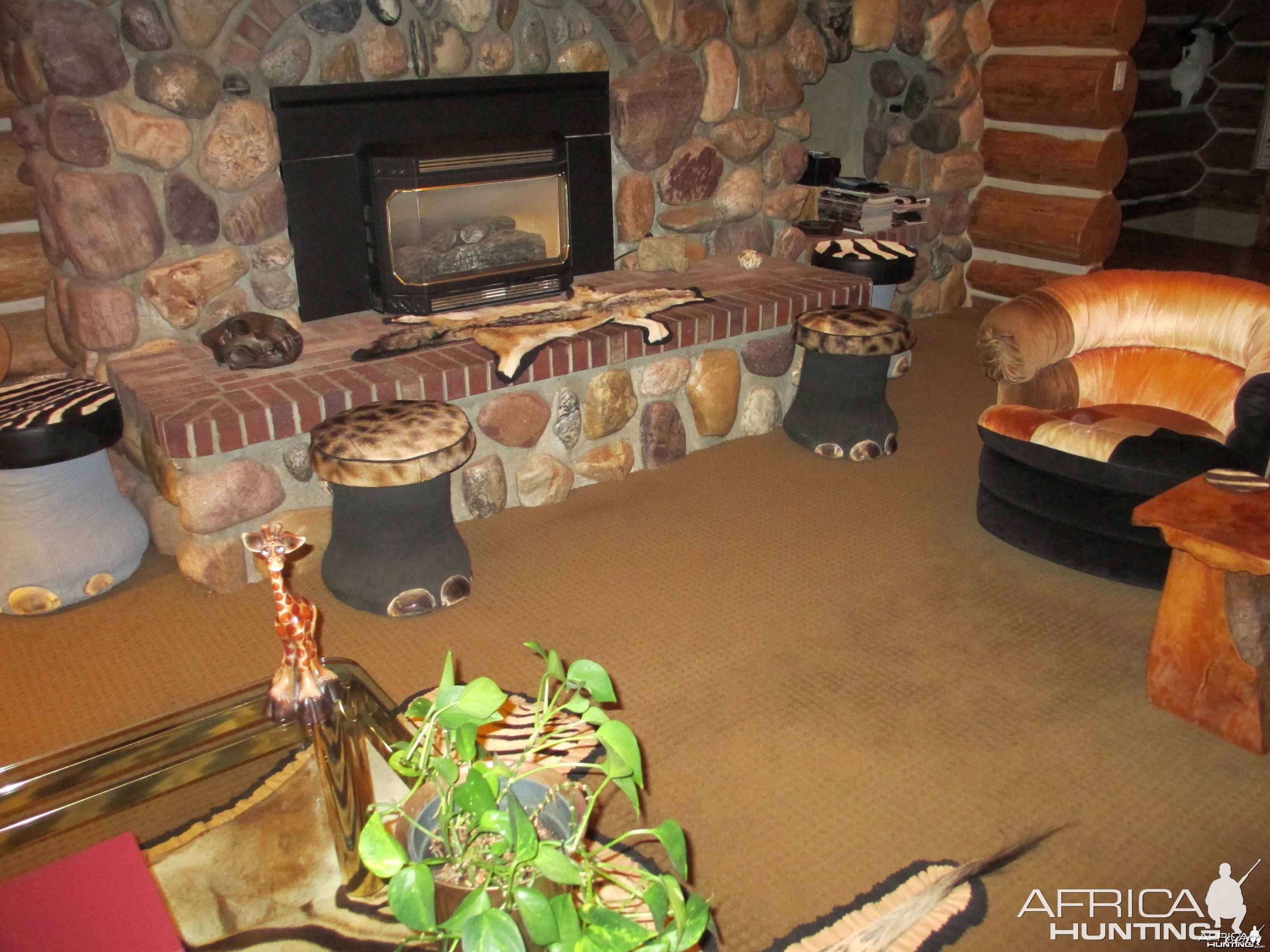 front feet stools,with giraffe hide.