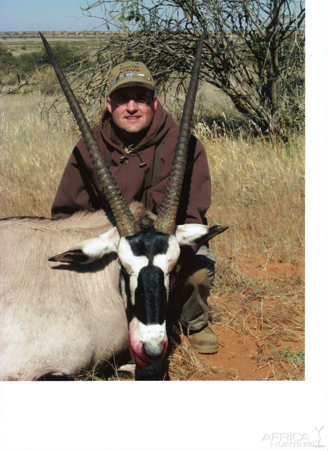 Gemsbok Namibia