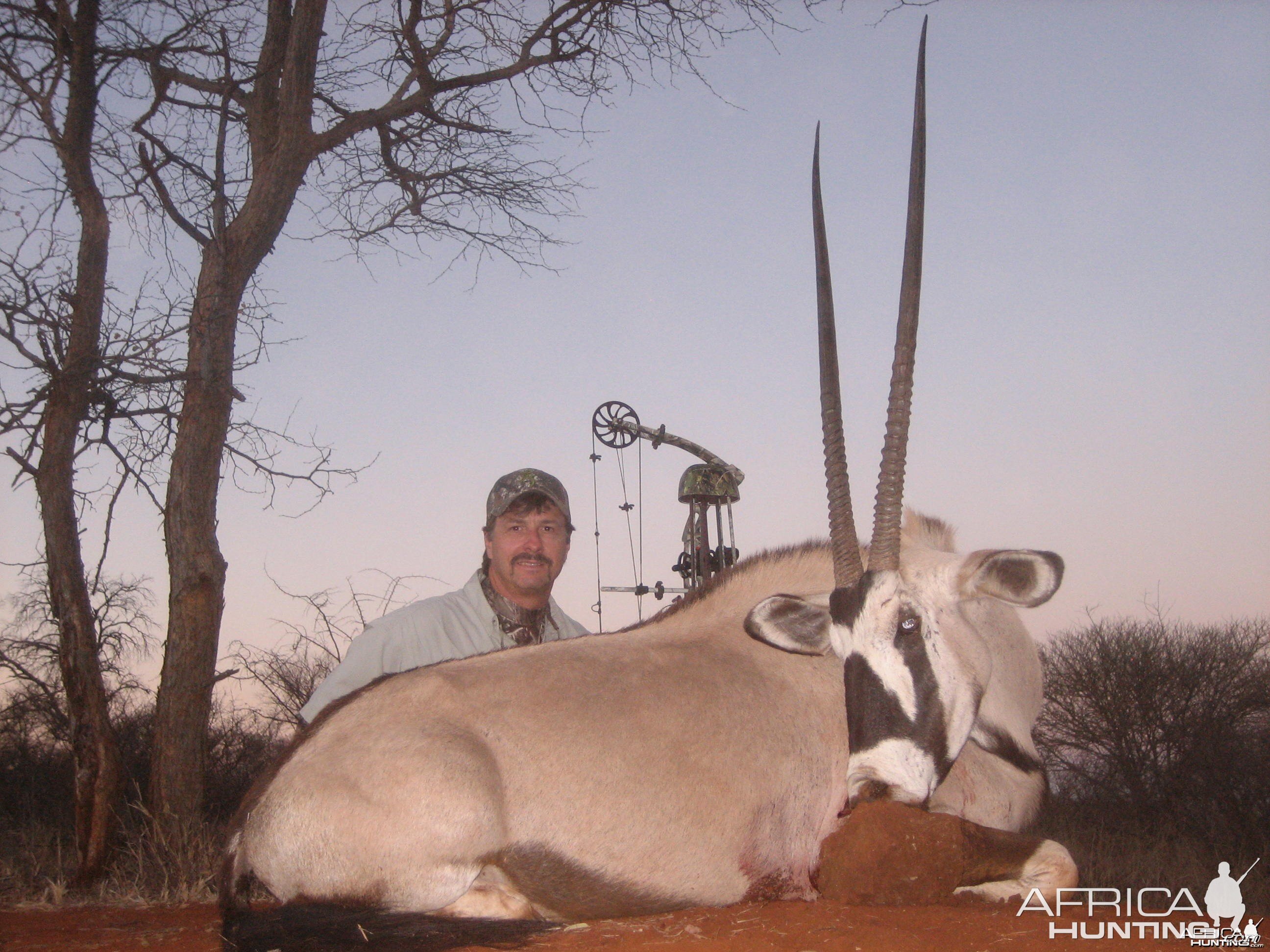 Gemsbok with a bow. Limcroma safaris 2009