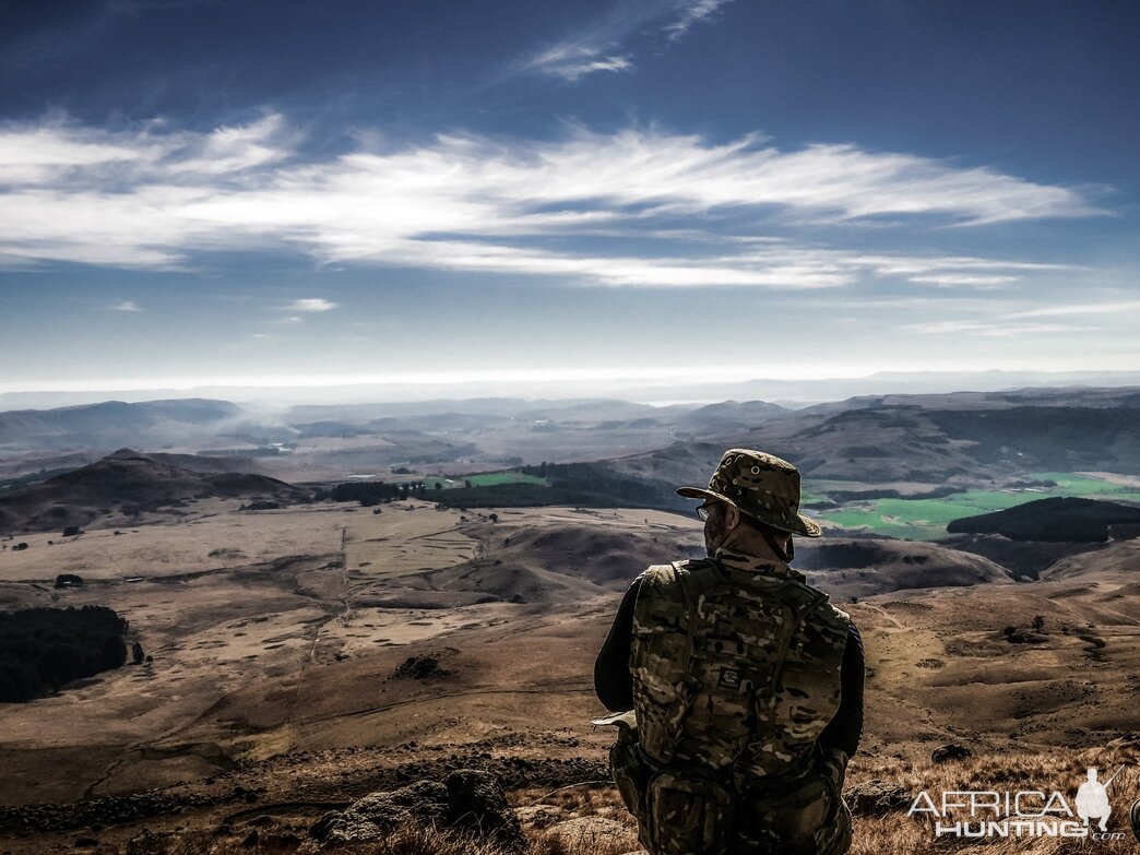 Grey Rhebok Hunt South Africa