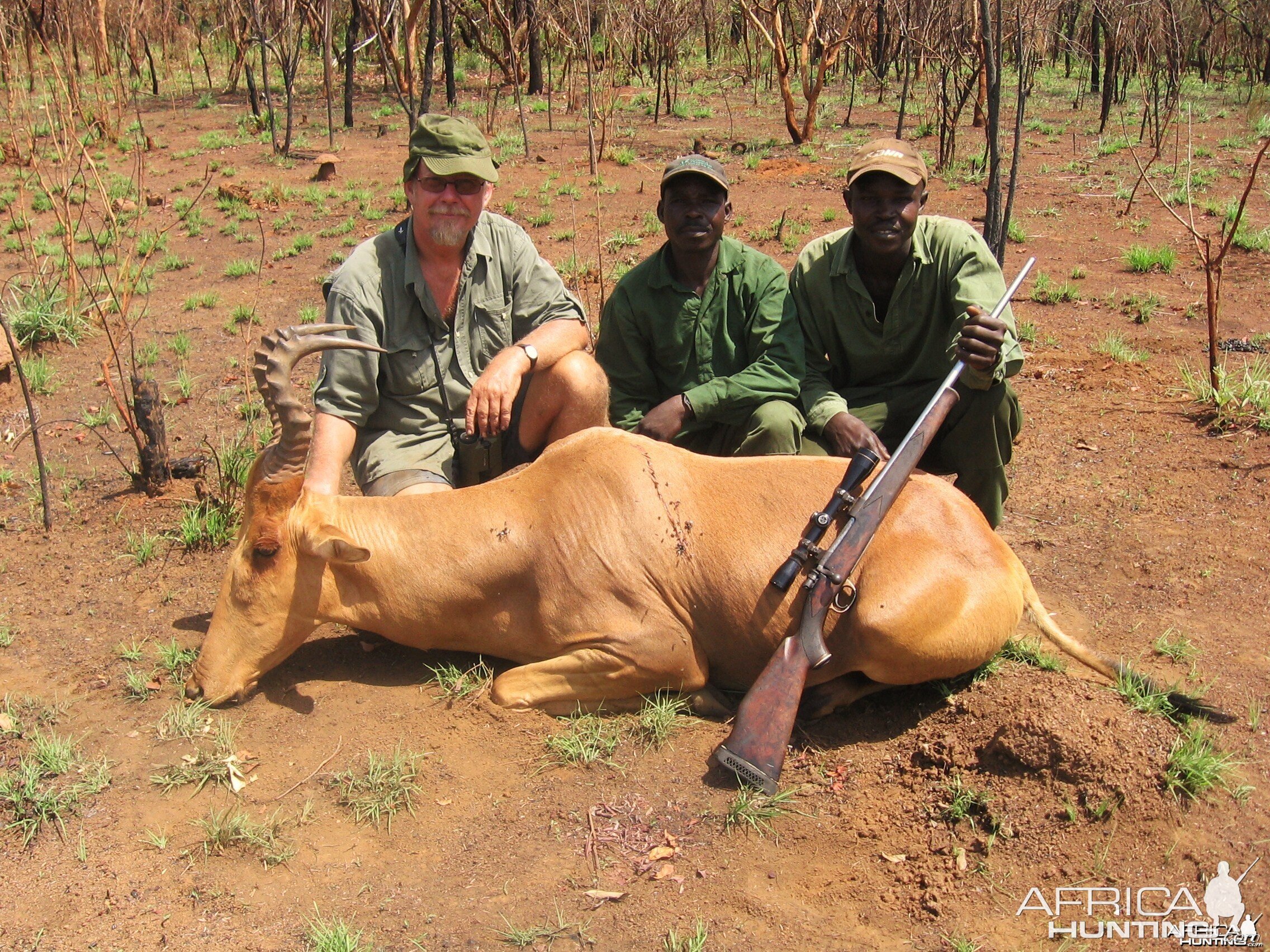 Hartebeest hunted in CAR with Central African Wildlife Adventures