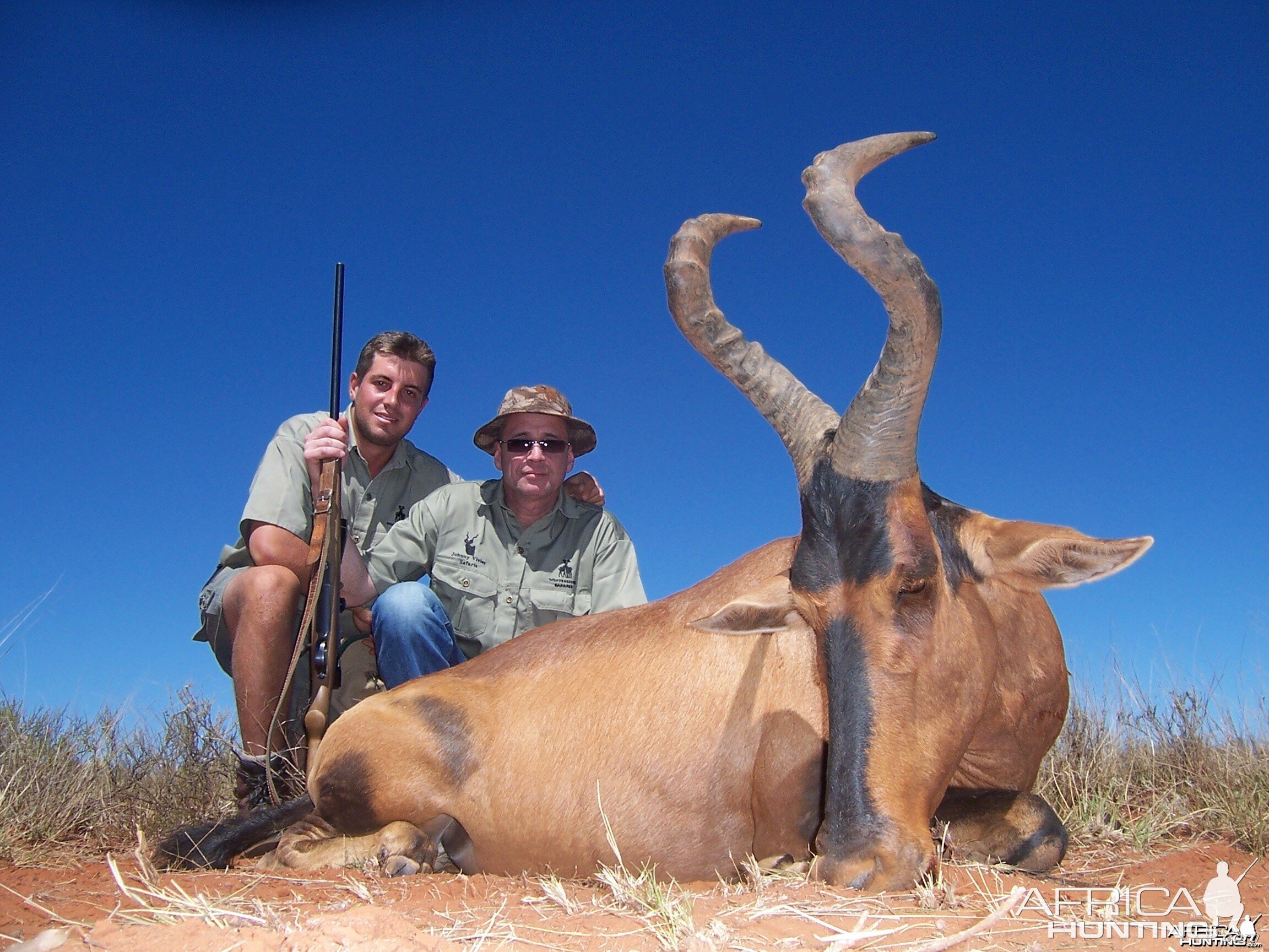 Hartebeest hunted with Hartzview Hunting Safaris