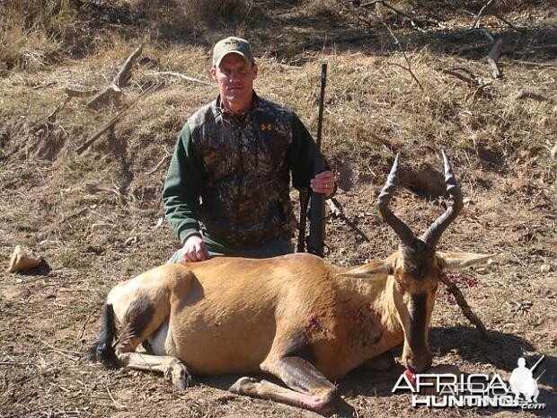 Hartebeest South Africa