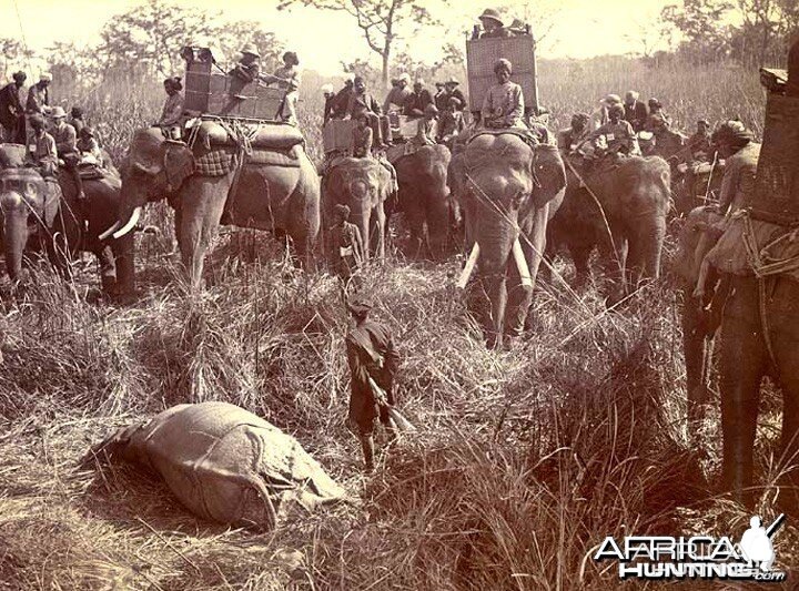 His Imperial Majesty's Shoot, Nepal 1911