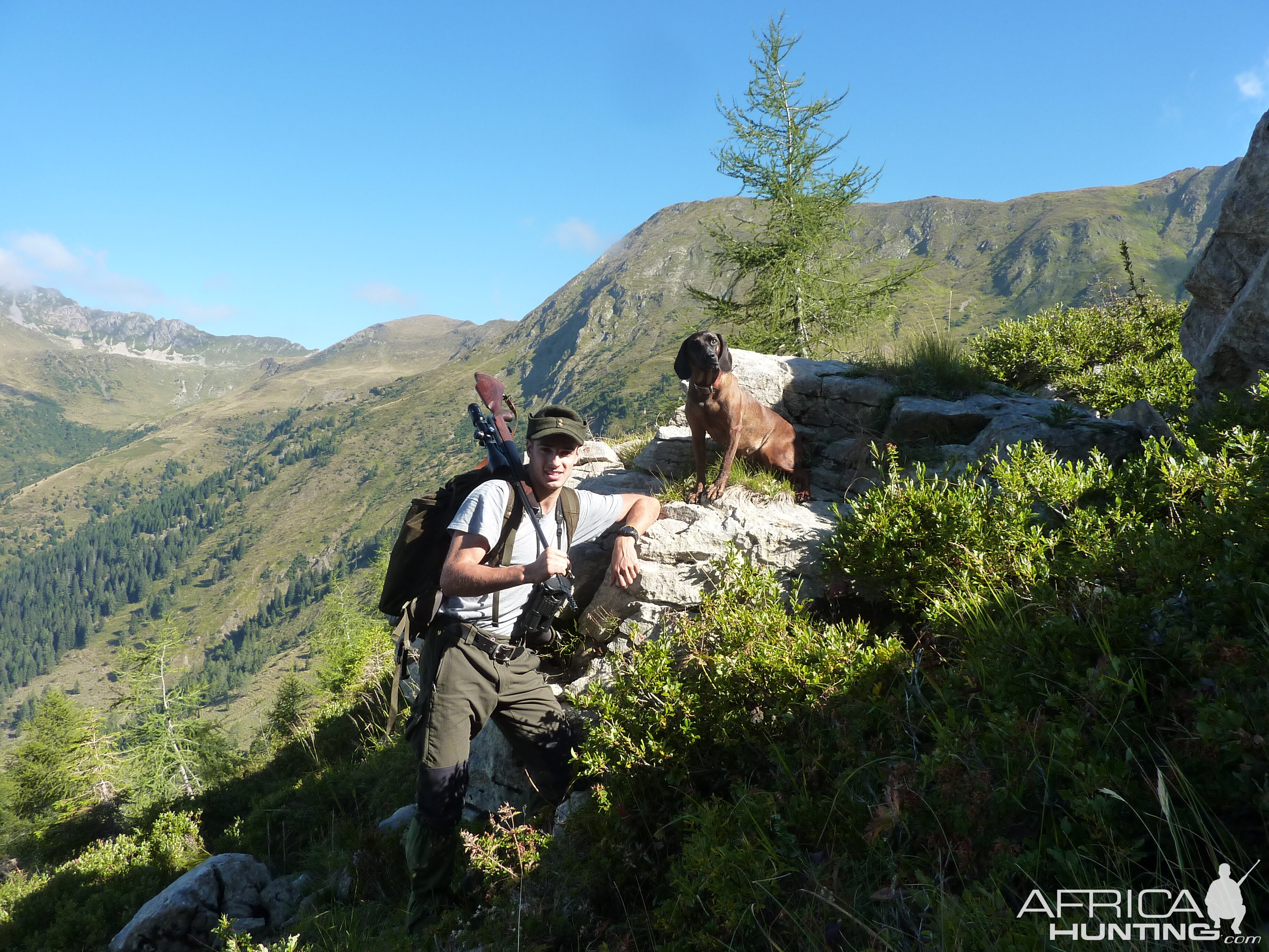 Hunt in the Italian Alps