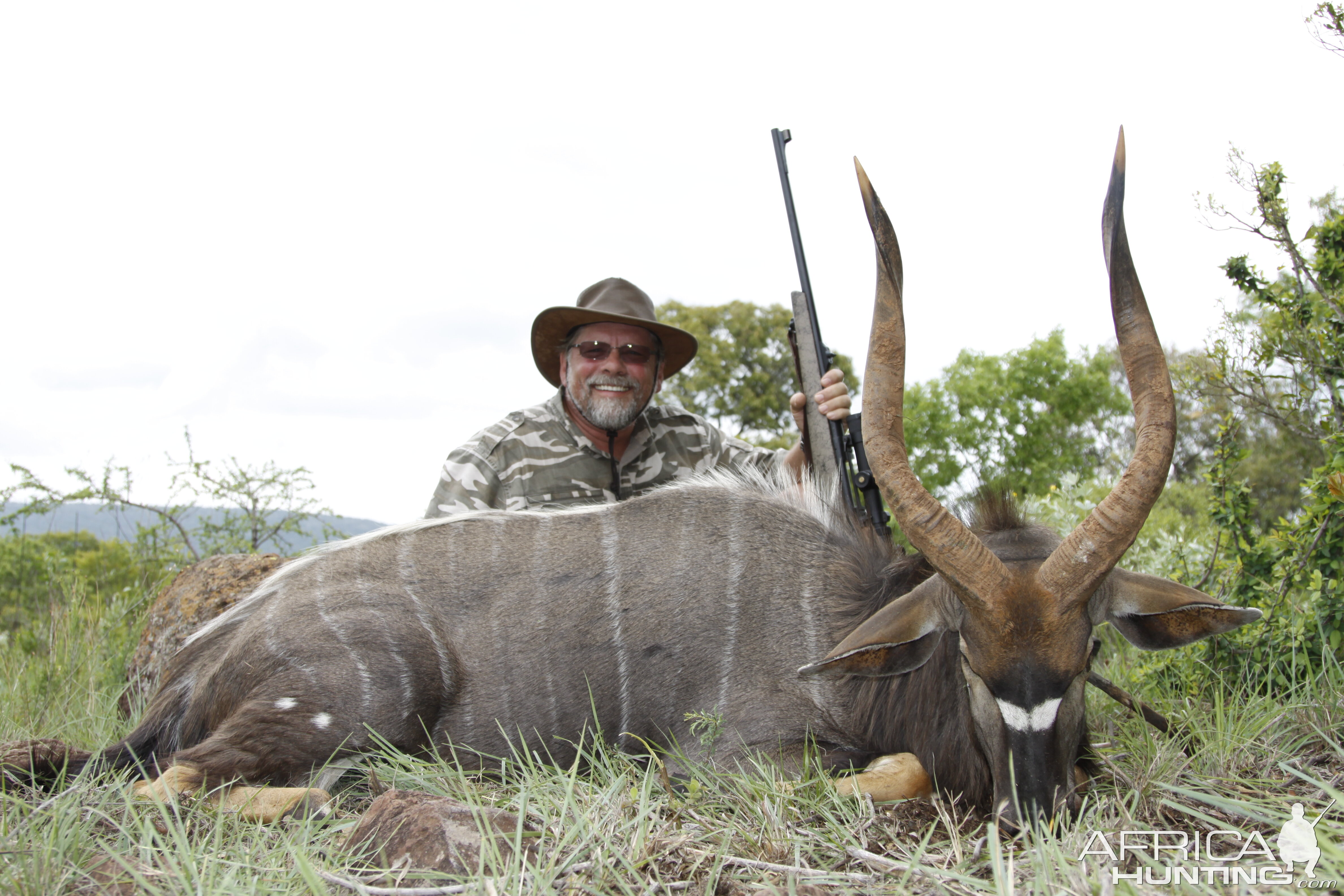 Hunt South Africa Nyala