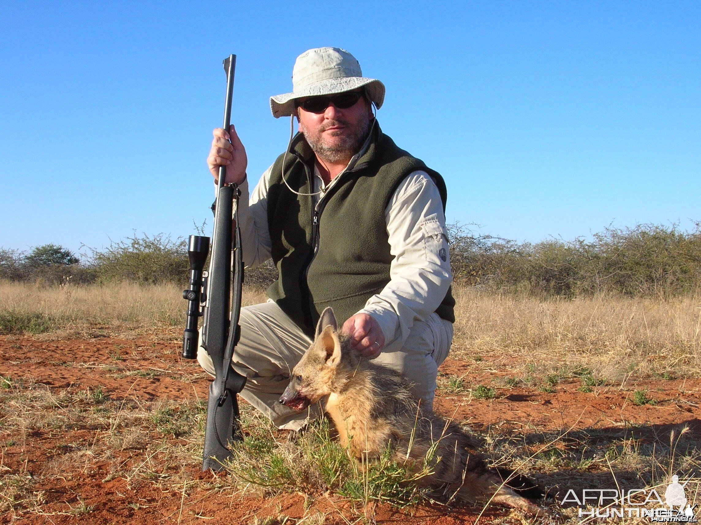 Hunting Aardwolf in Namibia