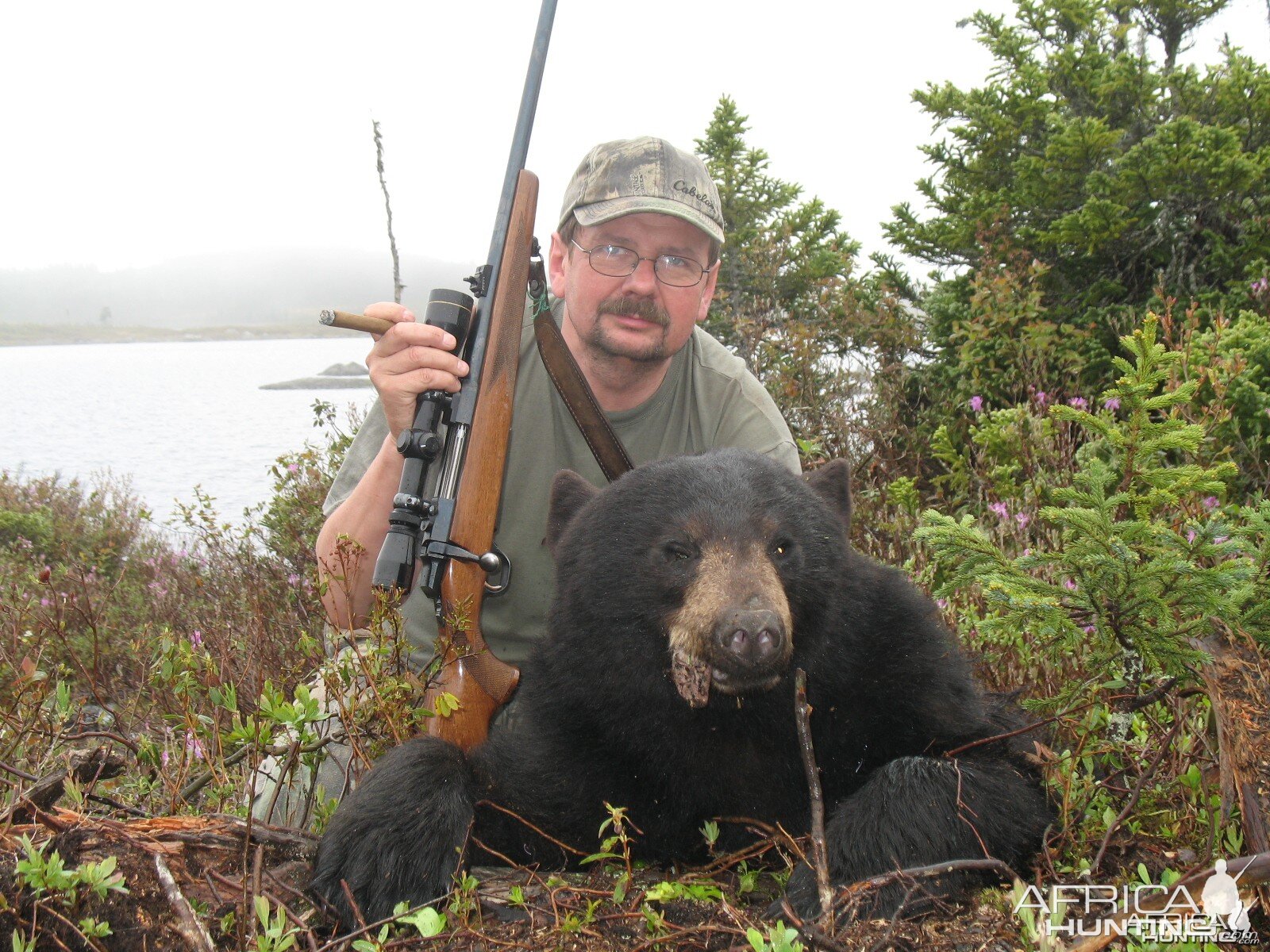 Hunting Black Bear