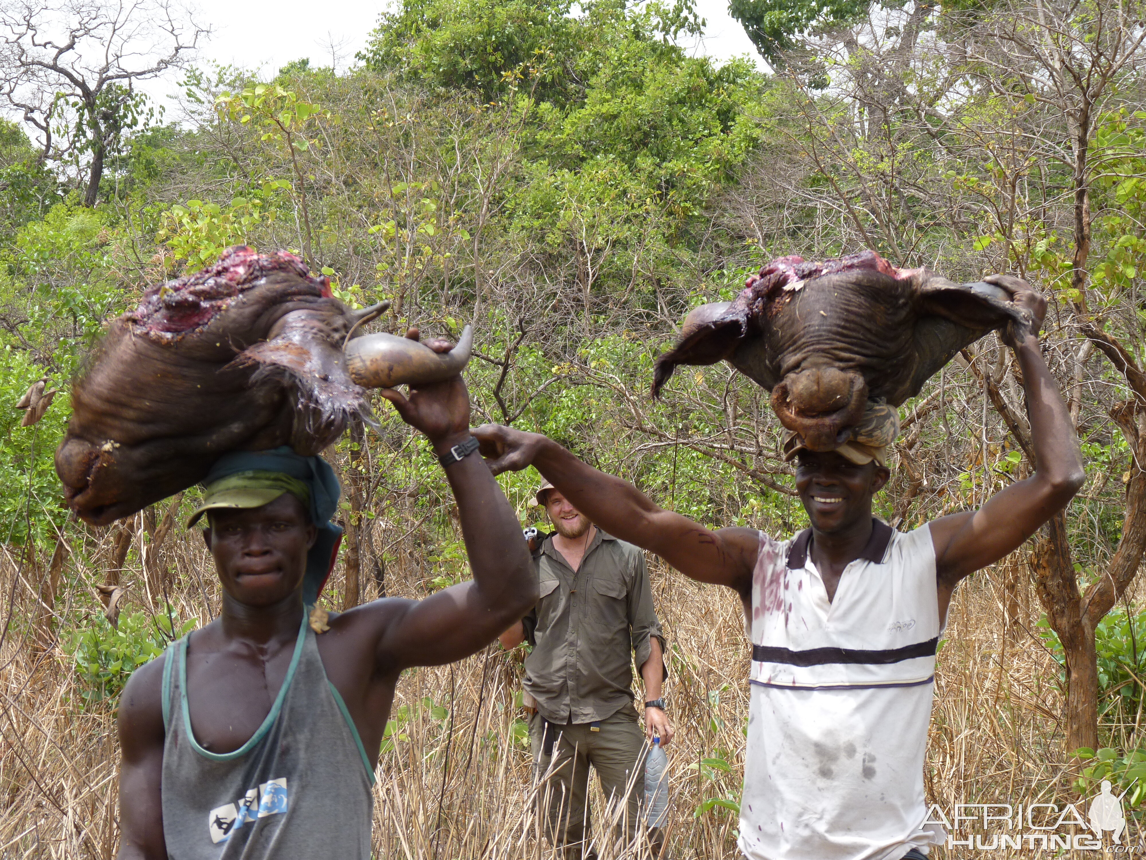 Hunting Buffalo in CAR