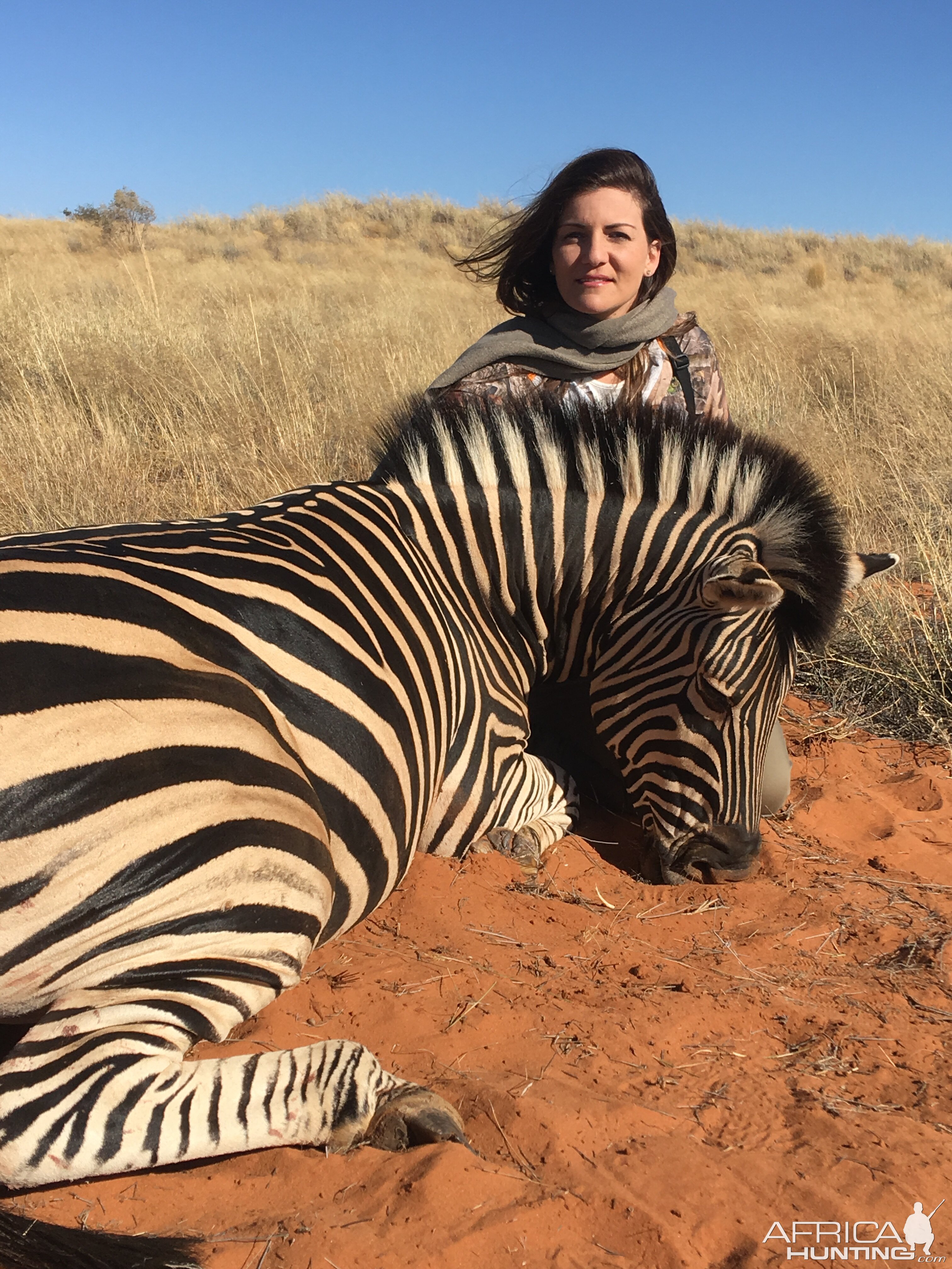 Hunting Burchell's Plain Zebra Kalahari South Africa