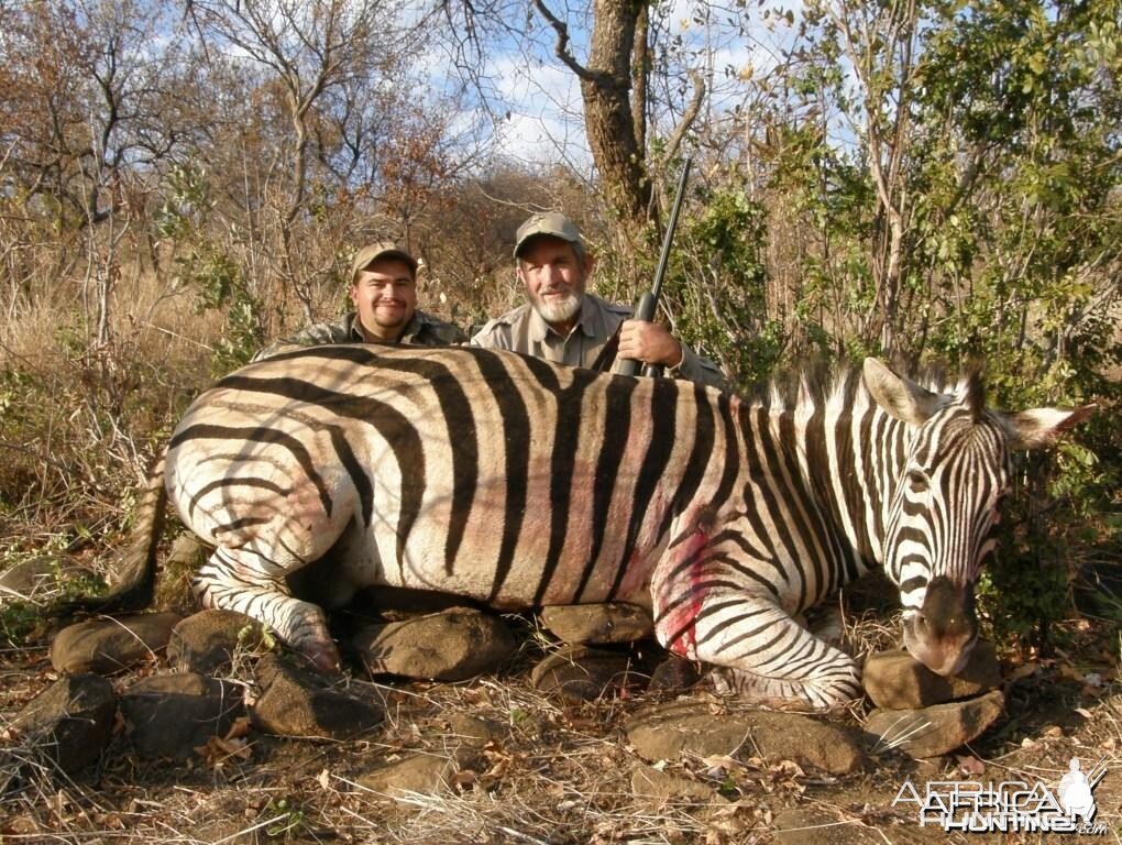 Hunting Burchell's Zebra