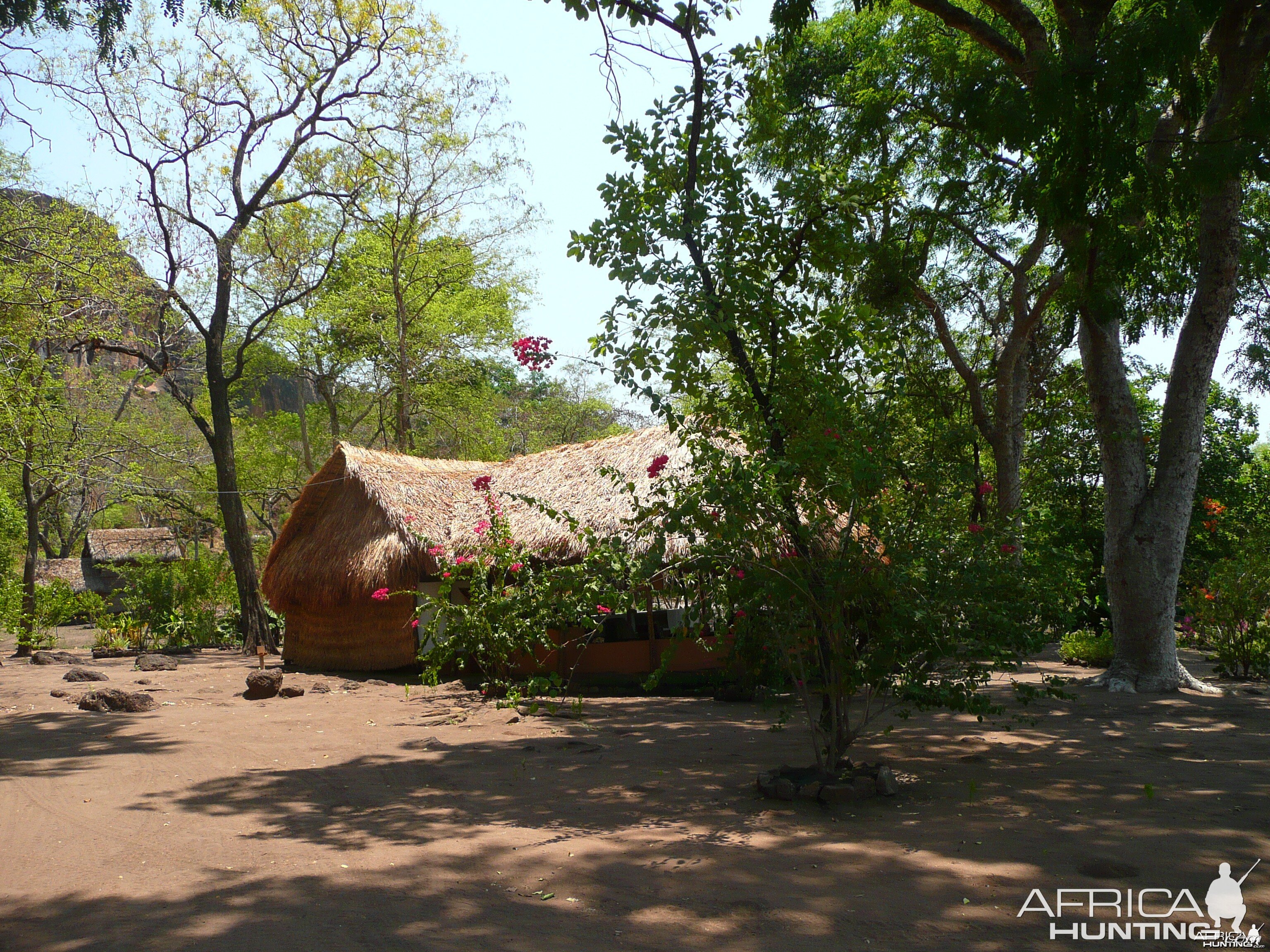 Hunting Camp in CAR