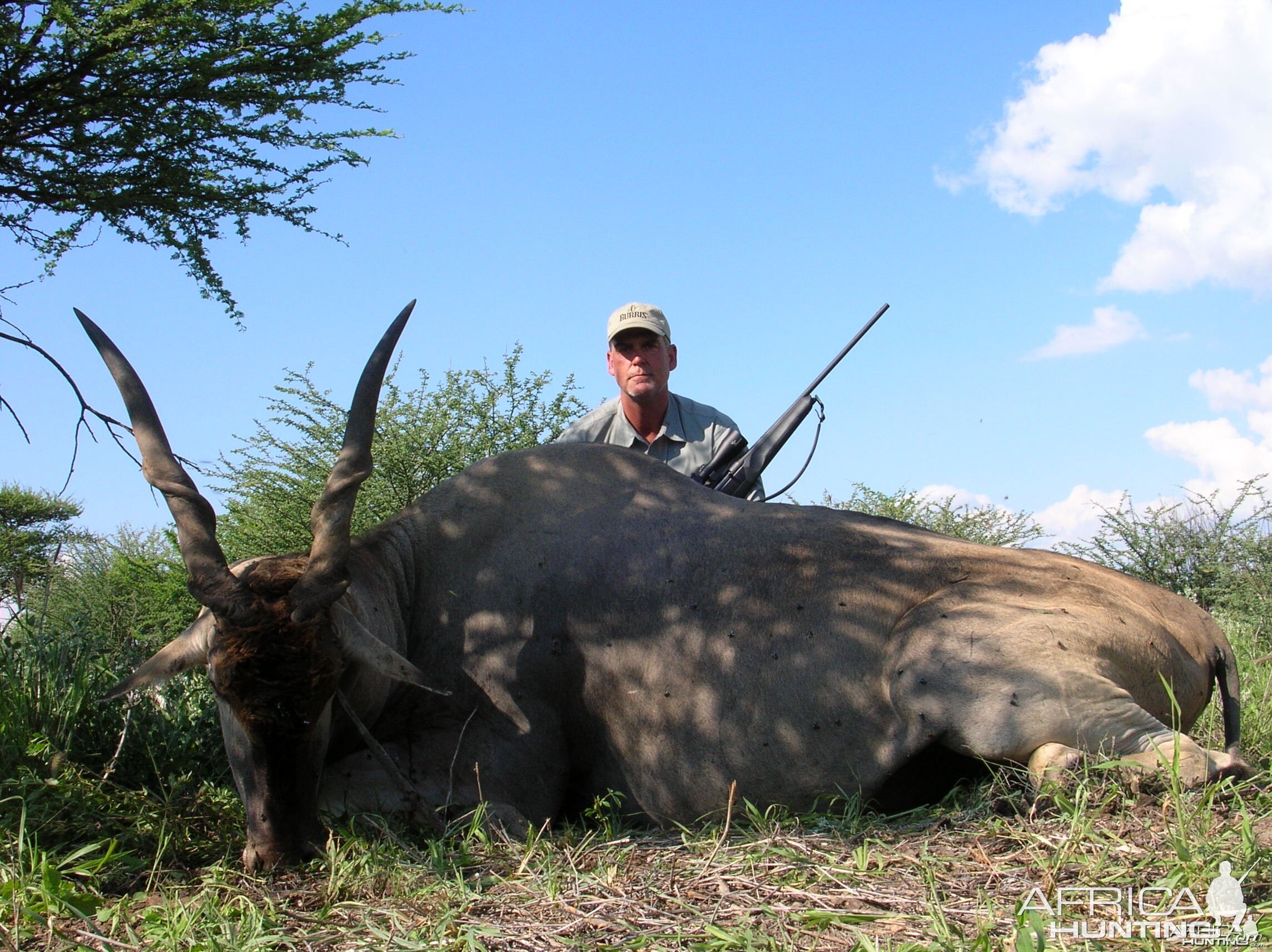 Hunting Cape Eland in Namibia