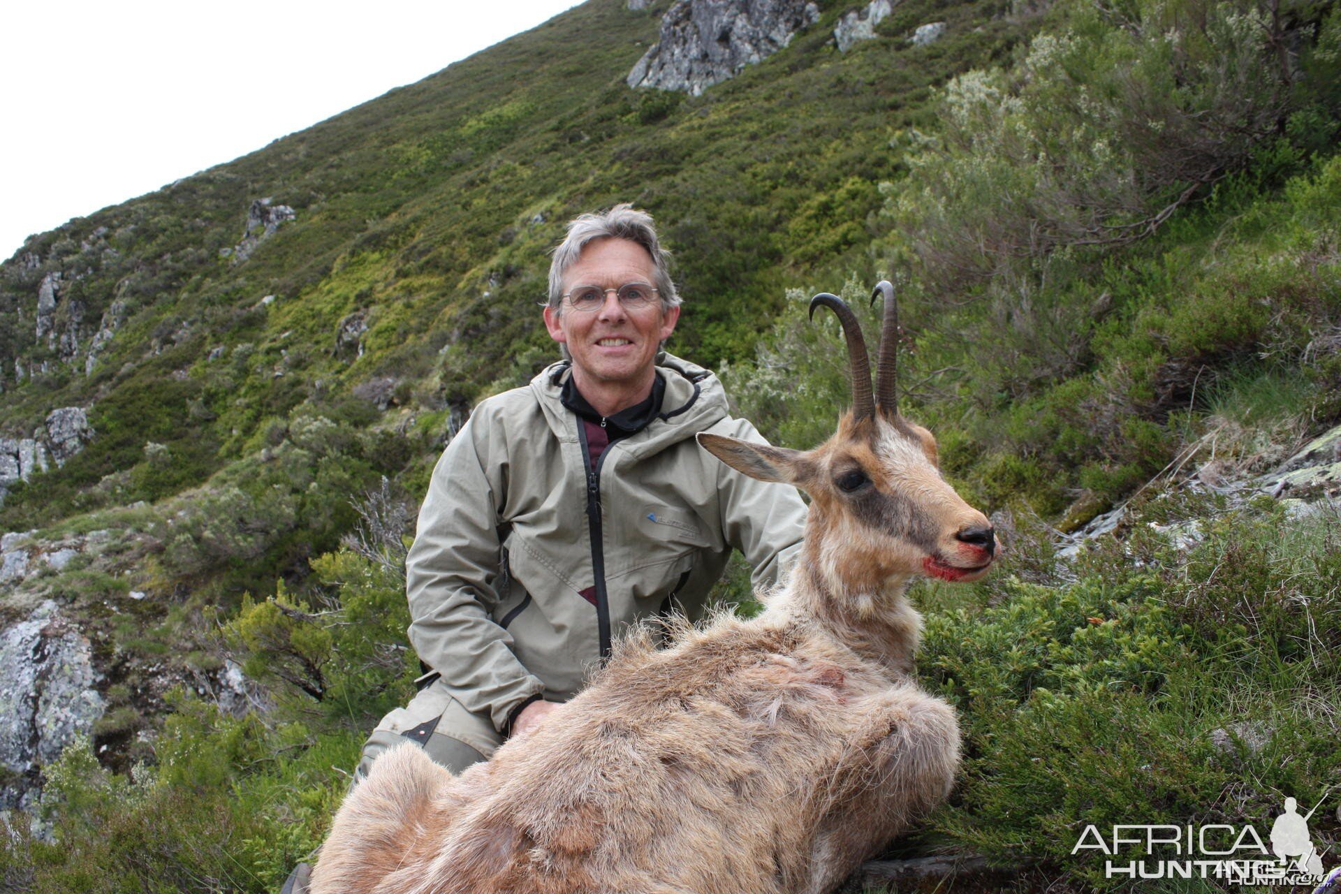 Hunting Chamois in Spain