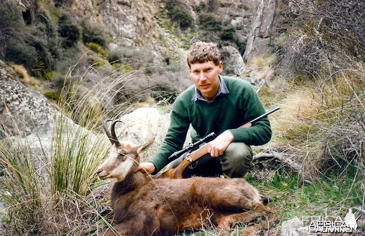 Hunting Chamois