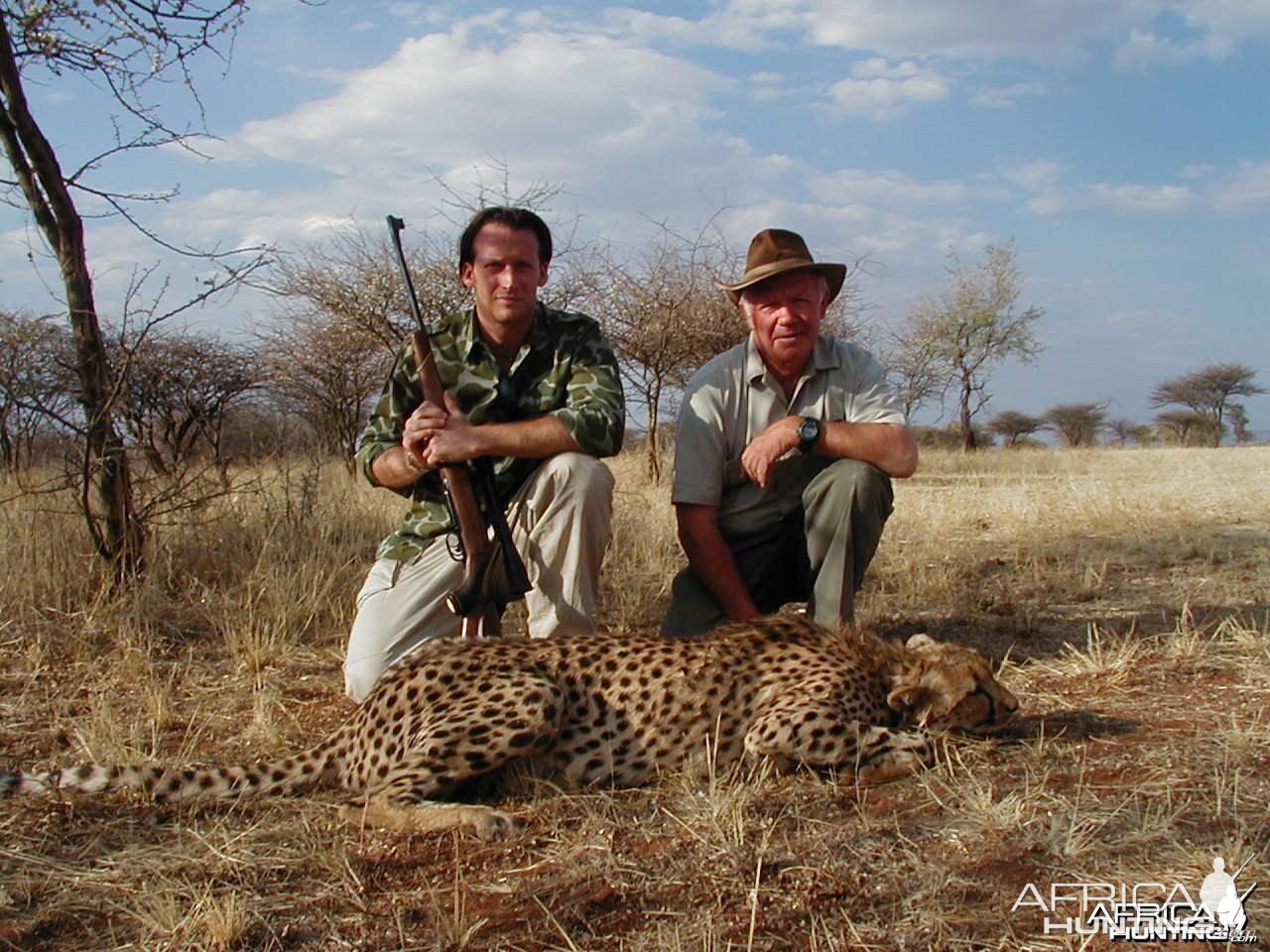 Hunting Cheetah in Namibia