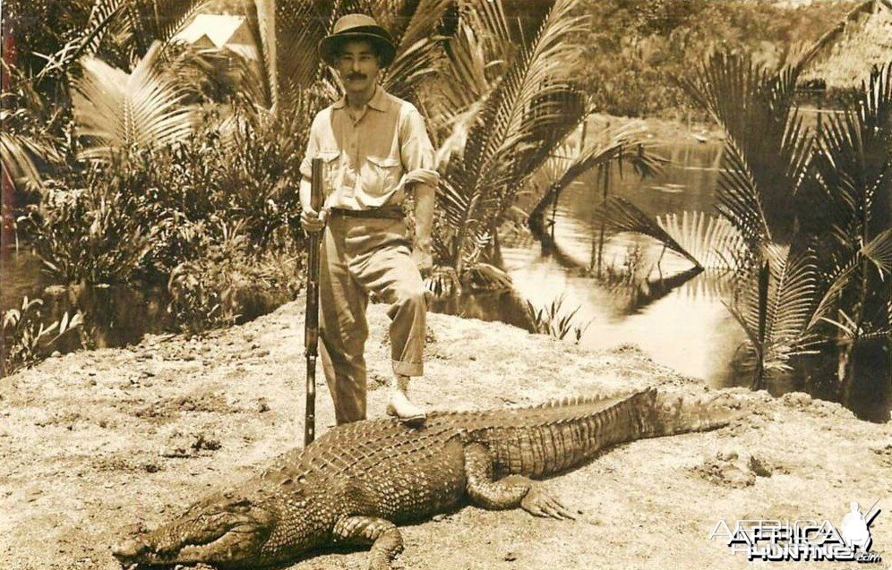 Hunting Crocodile