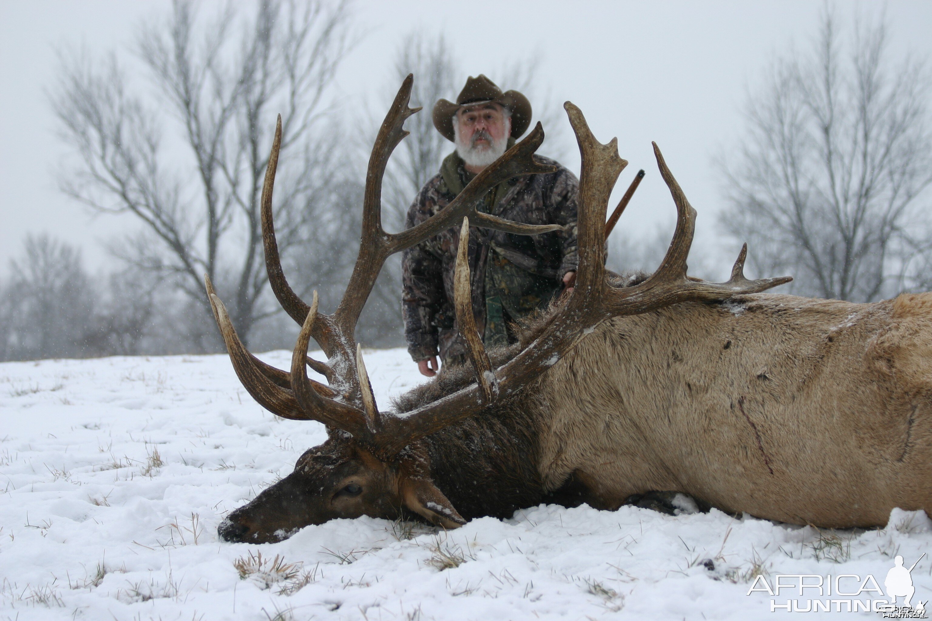 Hunting Elk