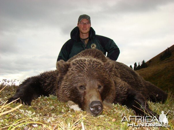 Hunting Grizzly Bear