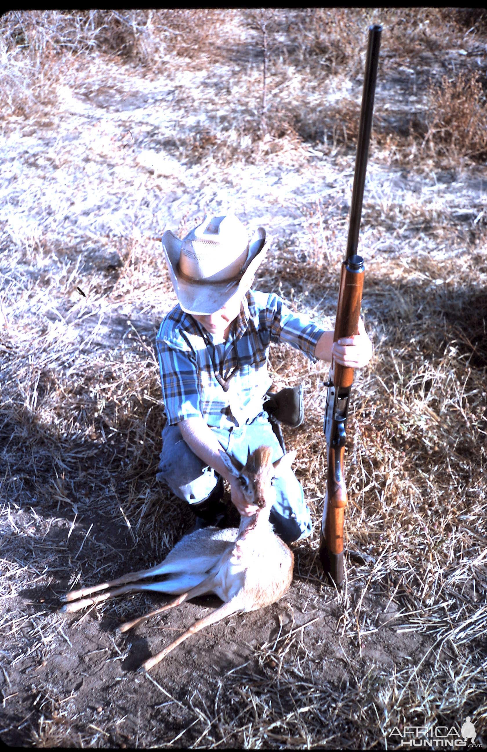 Hunting Kirk's Dik-dik in Tanzania during 60's