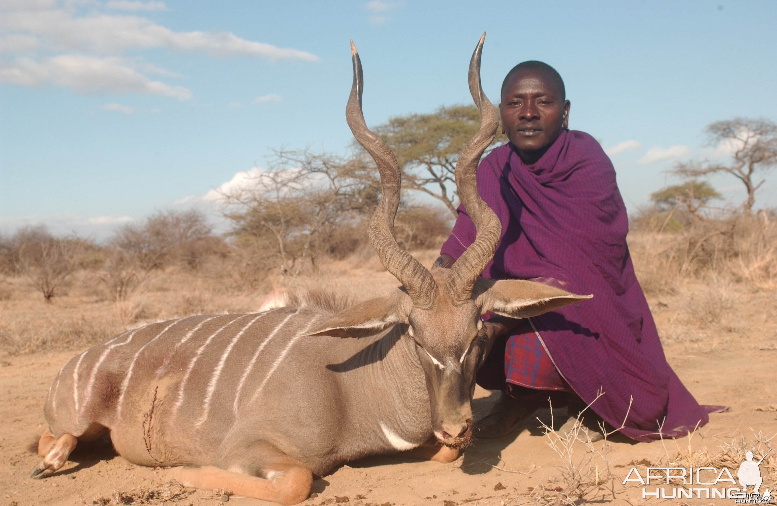 Hunting Lesser Kudu