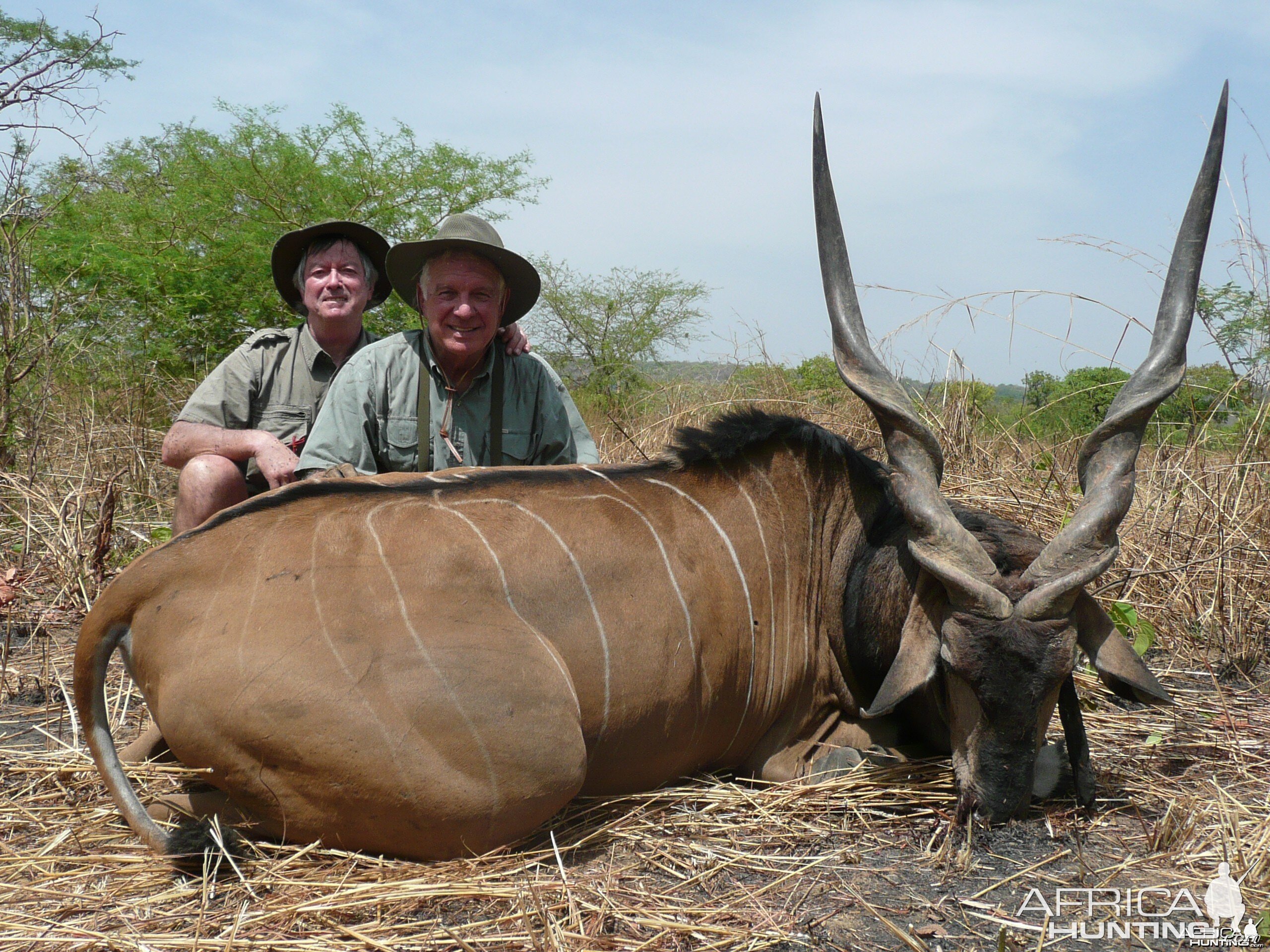 Hunting Lord Derby Eland in CAR with Rudy Lubin Safaris