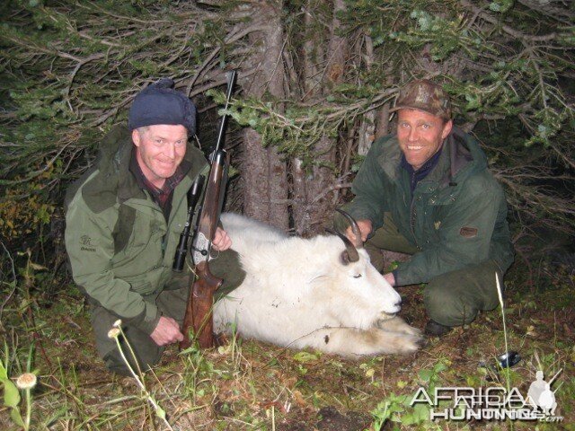 Hunting Mountain Goat Canada