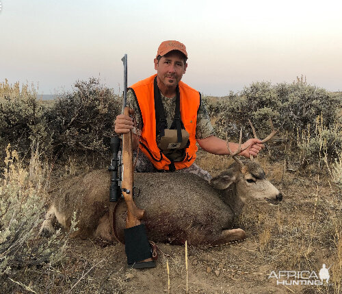 Hunting Mule Deer in USA