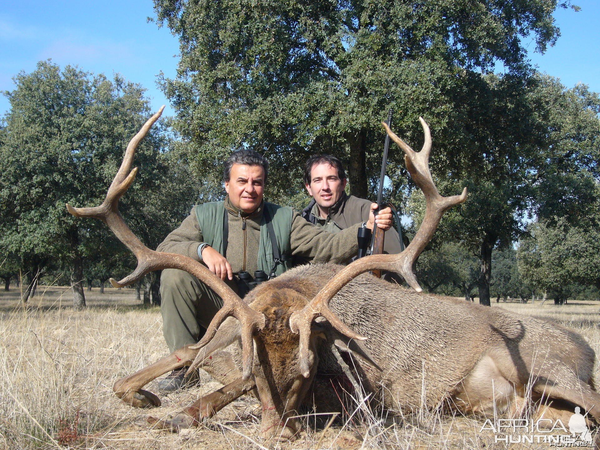Hunting Red Deer in Spain