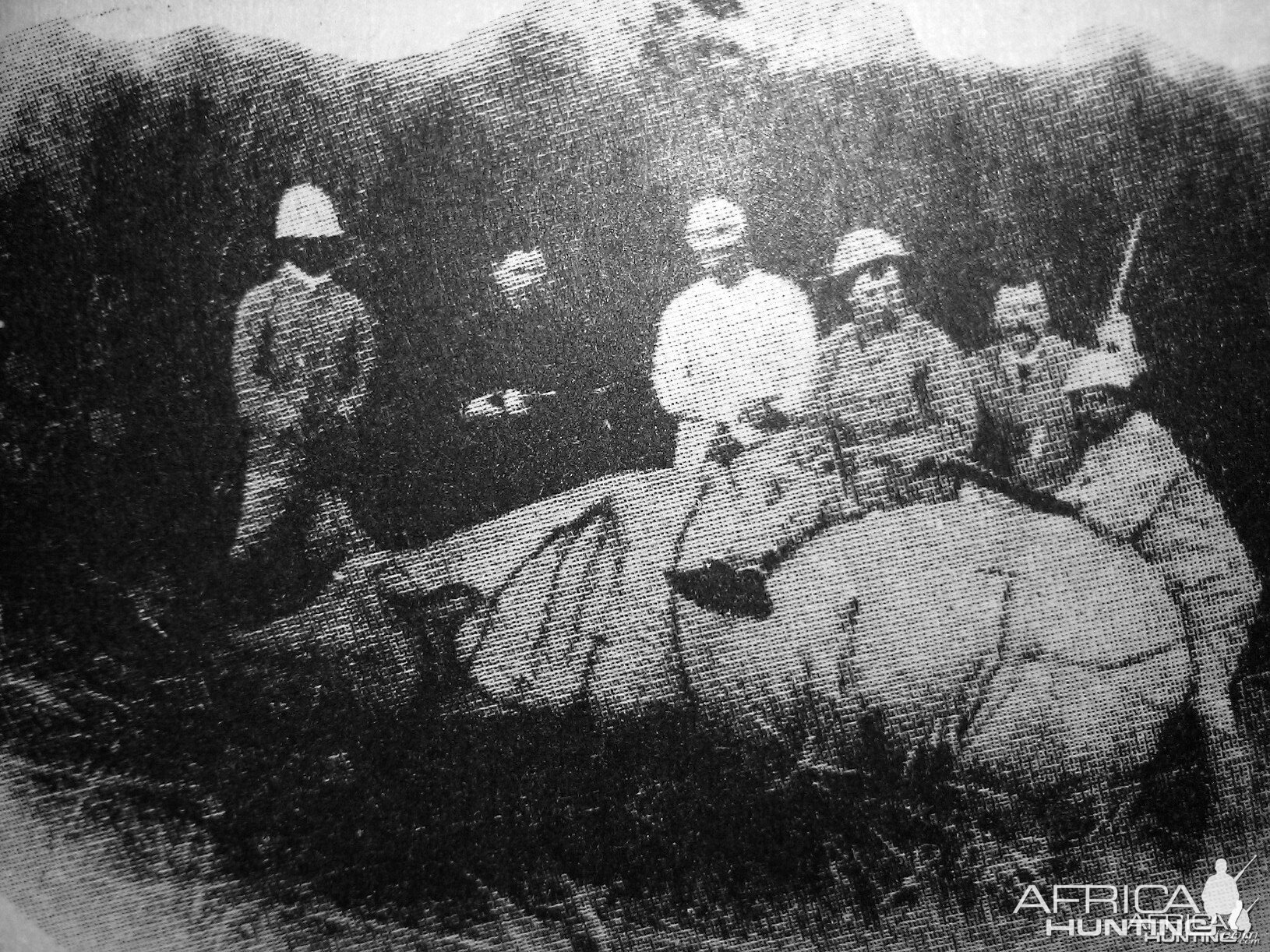 Hunting Rhino 1886