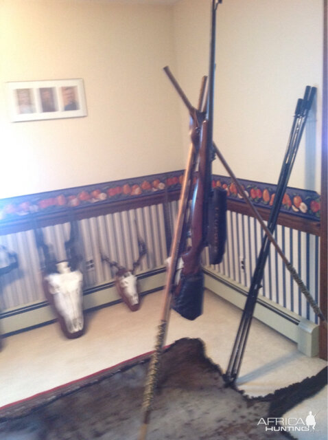Hunting Rifle & Shooting Sticks