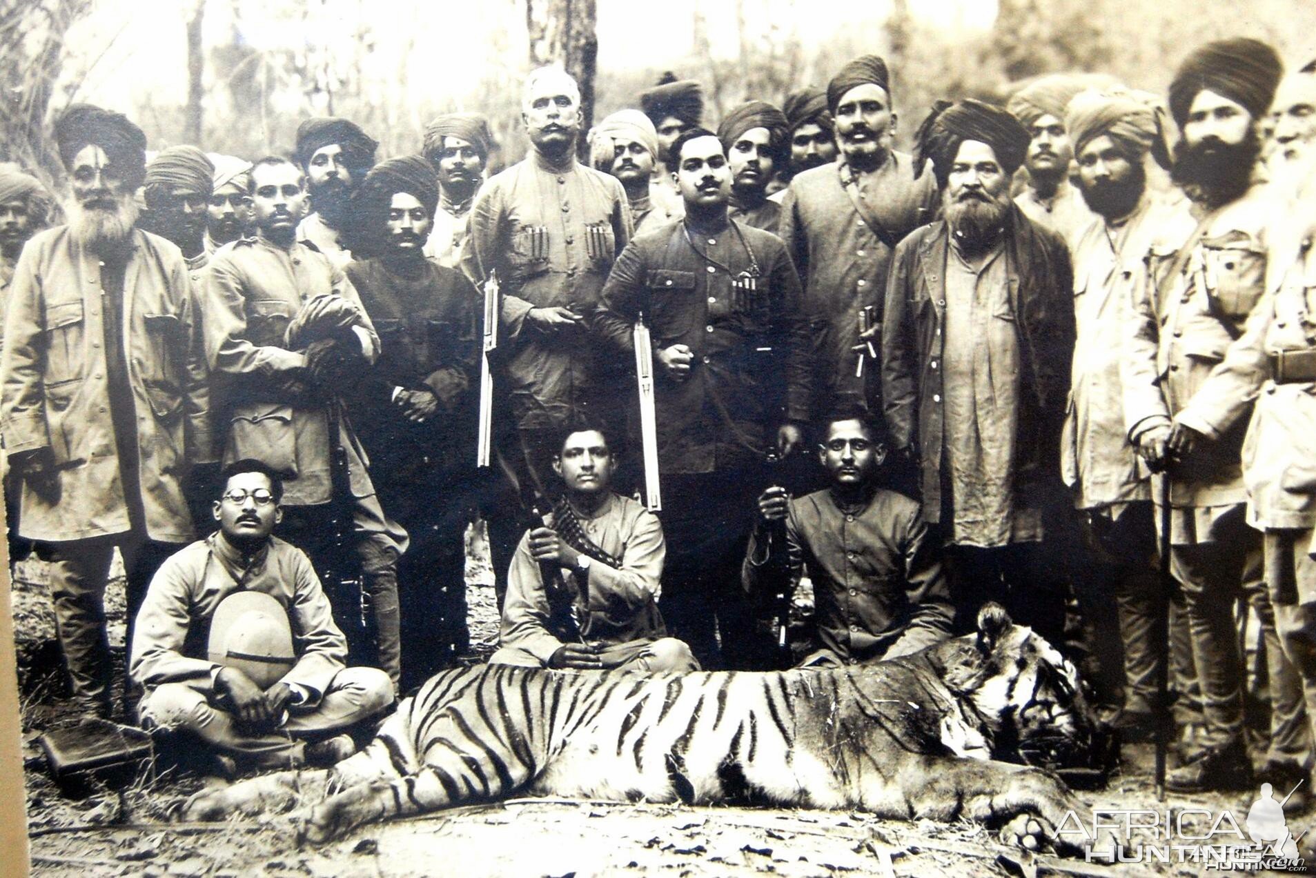 Hunting Tiger in India