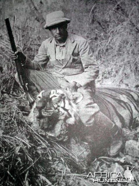 Hunting Tiger in India