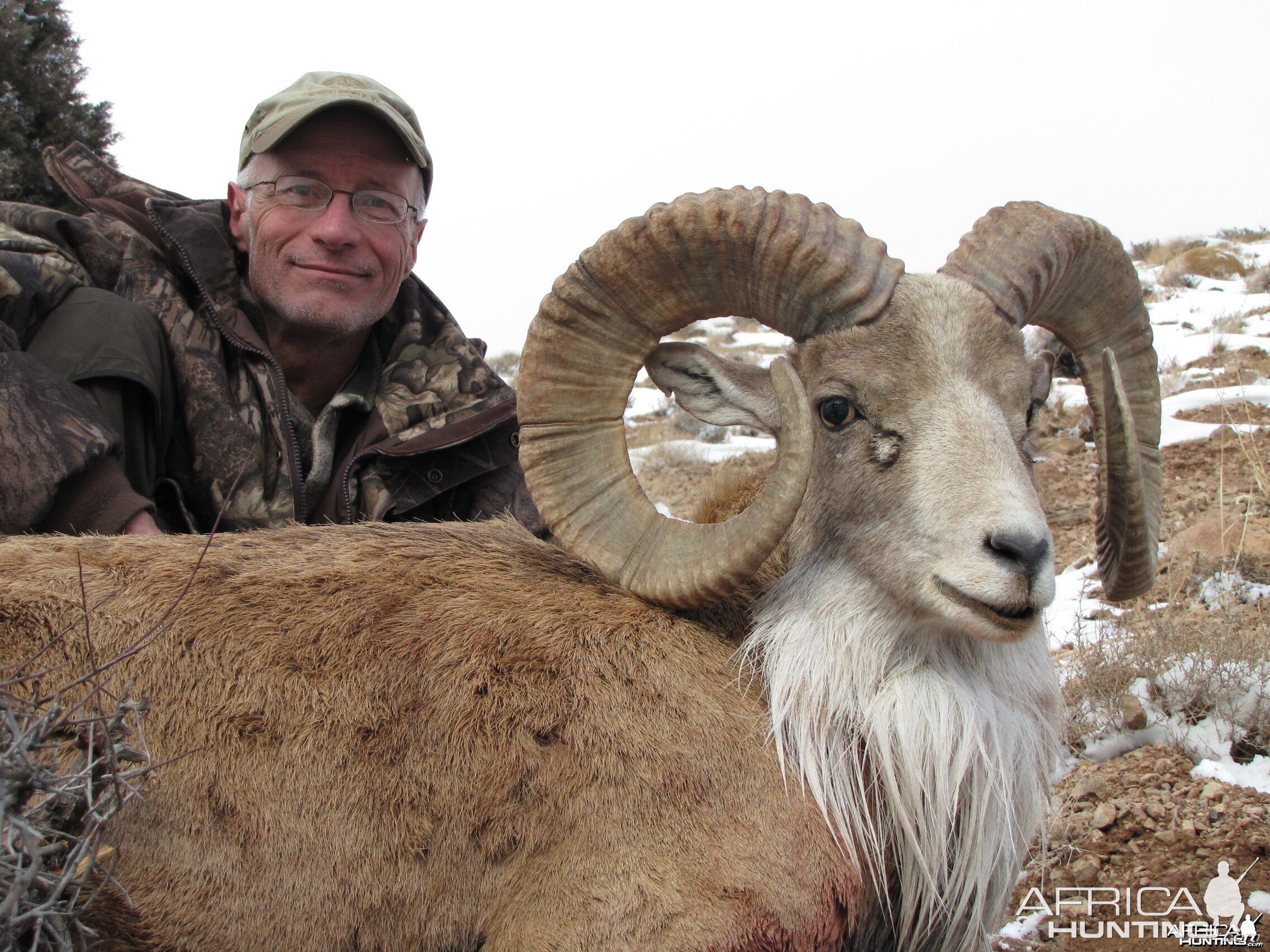 Hunting Urial in Iran