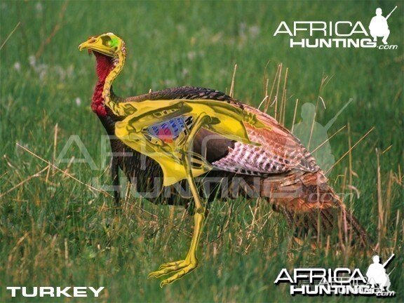 Hunting Vitals Turkey