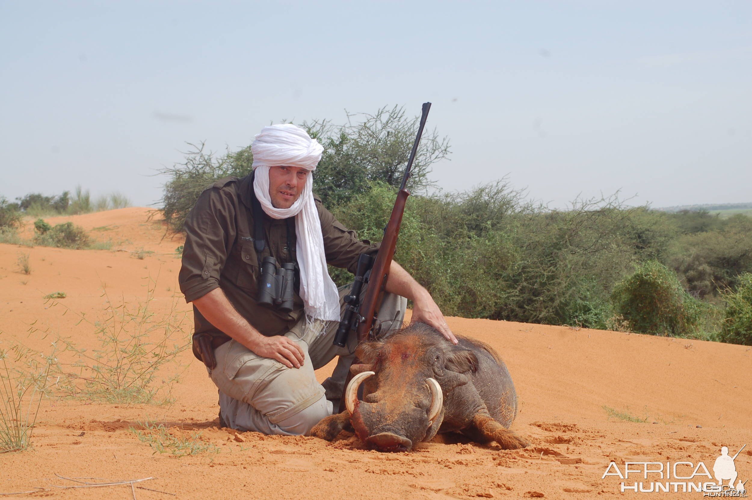Hunting Warthog in Mauritania, Africa