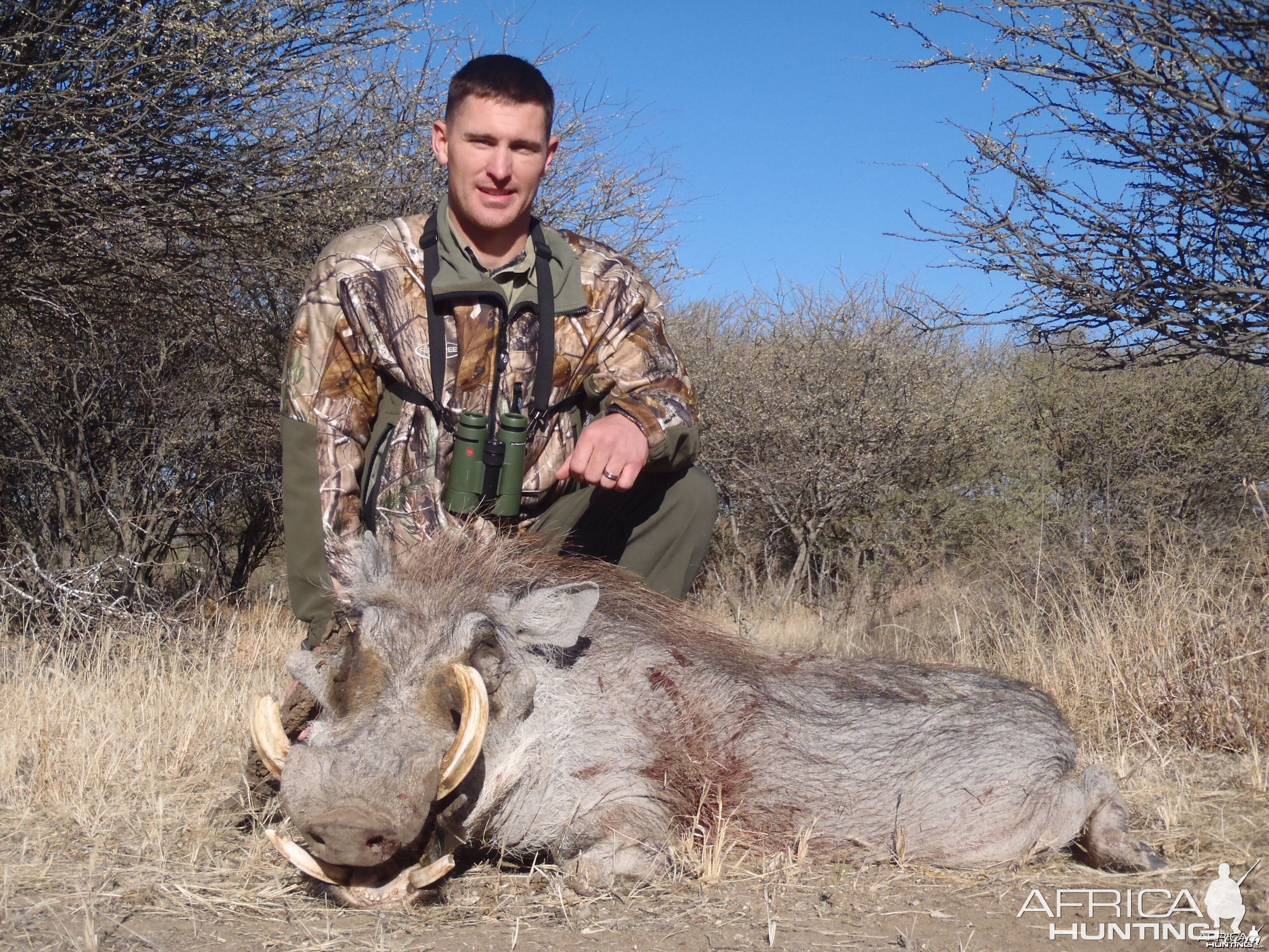 Hunting Warthog in Namibia