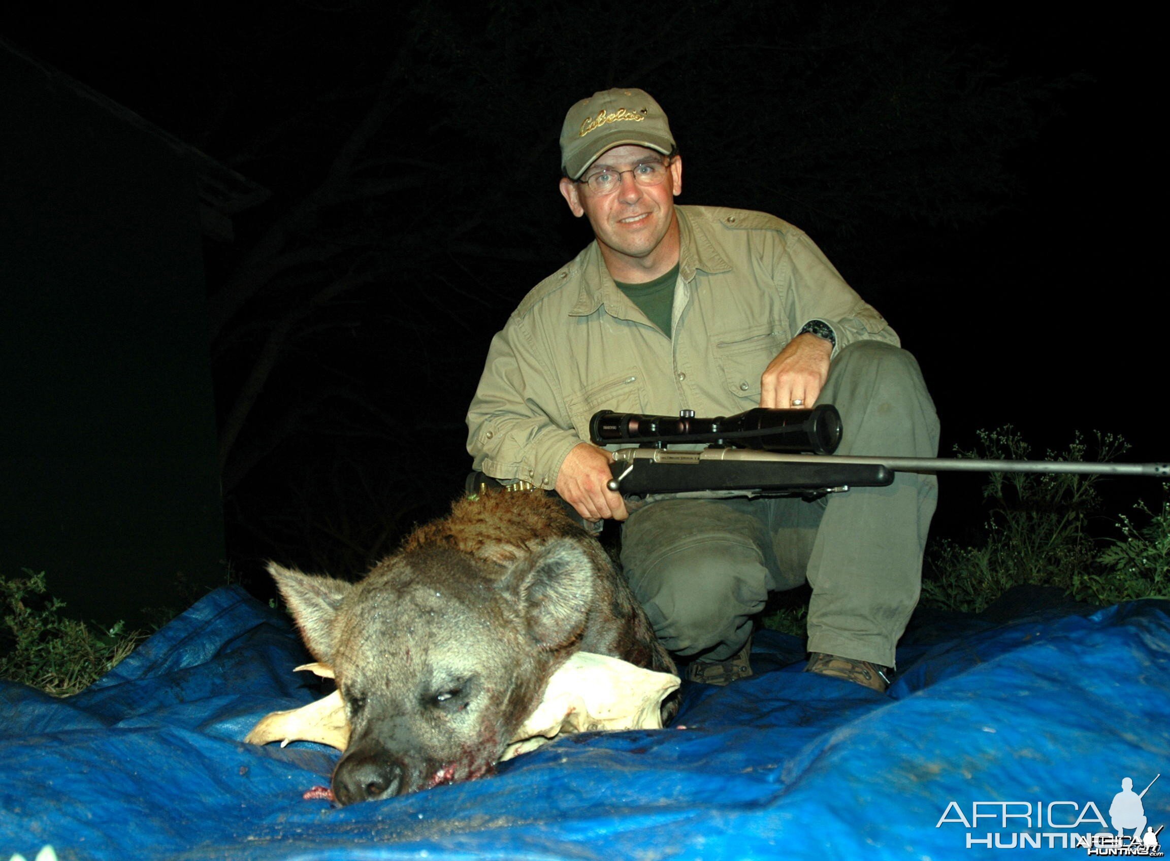 Hyena hunted in South Africa