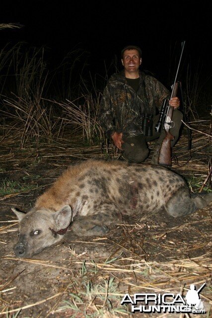 Hyena Hunted in Tanzania