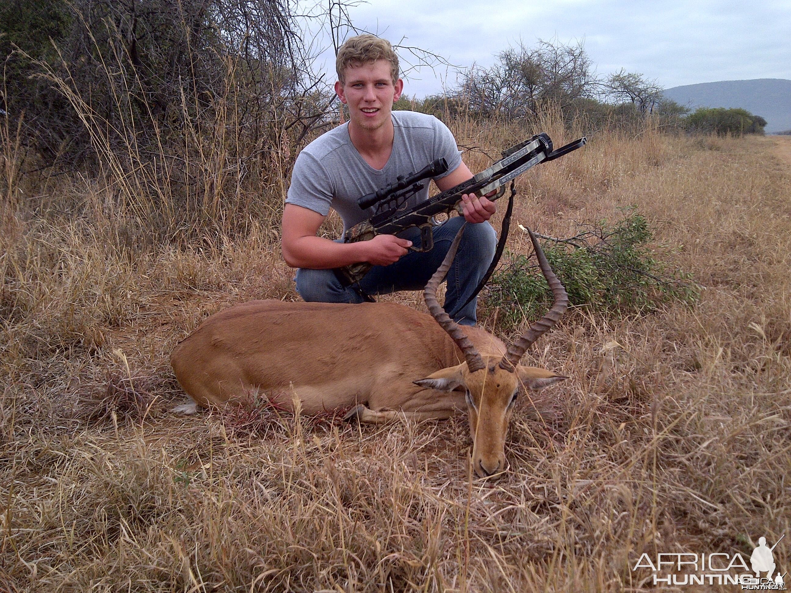 impala crossbow hunt