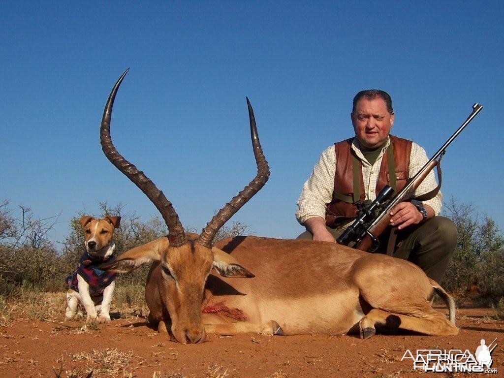 Impala hunted with Hartzview Hunting Safaris