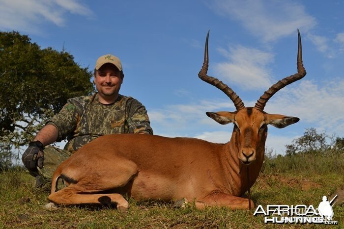 Impala