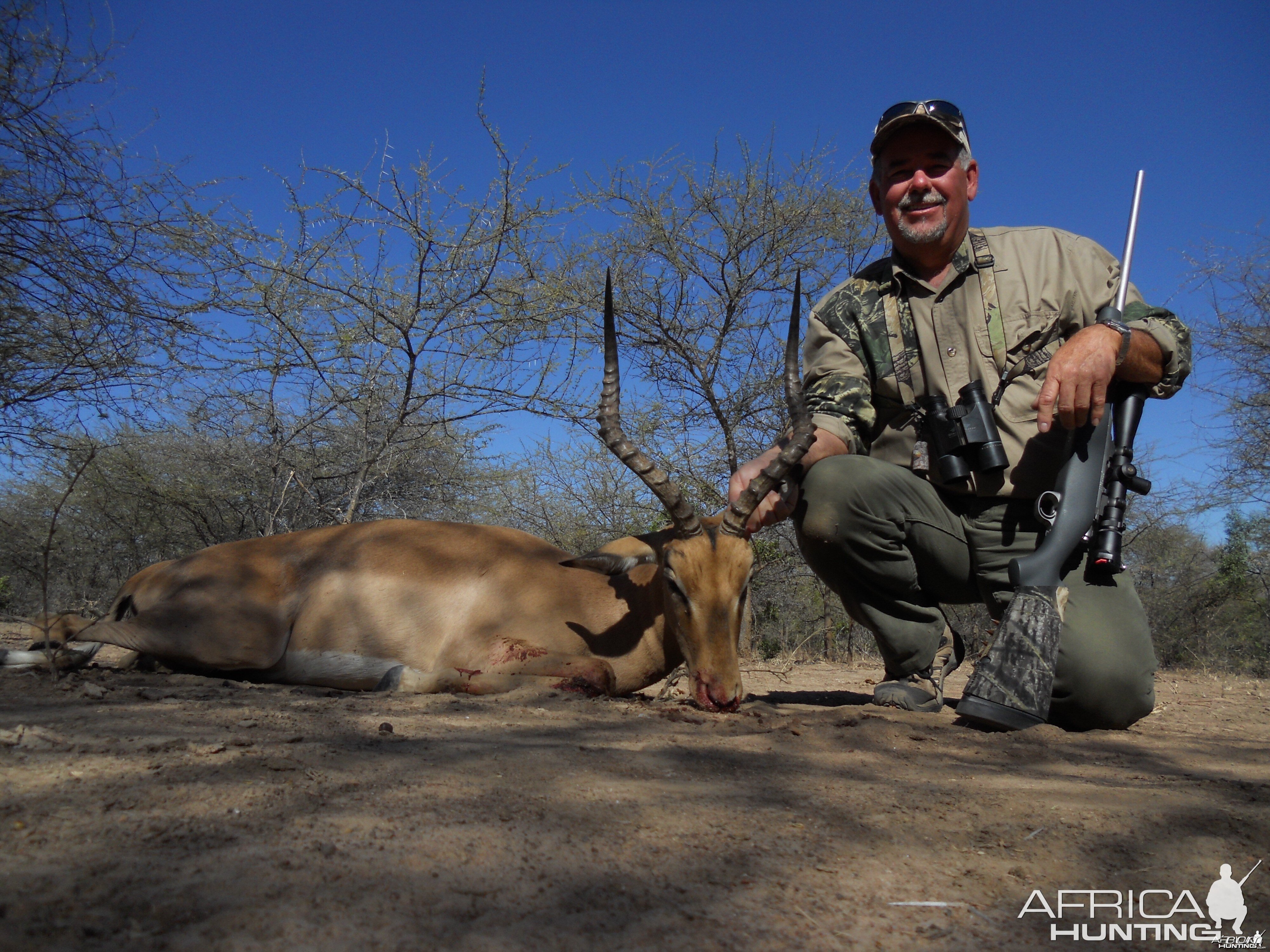 Impala