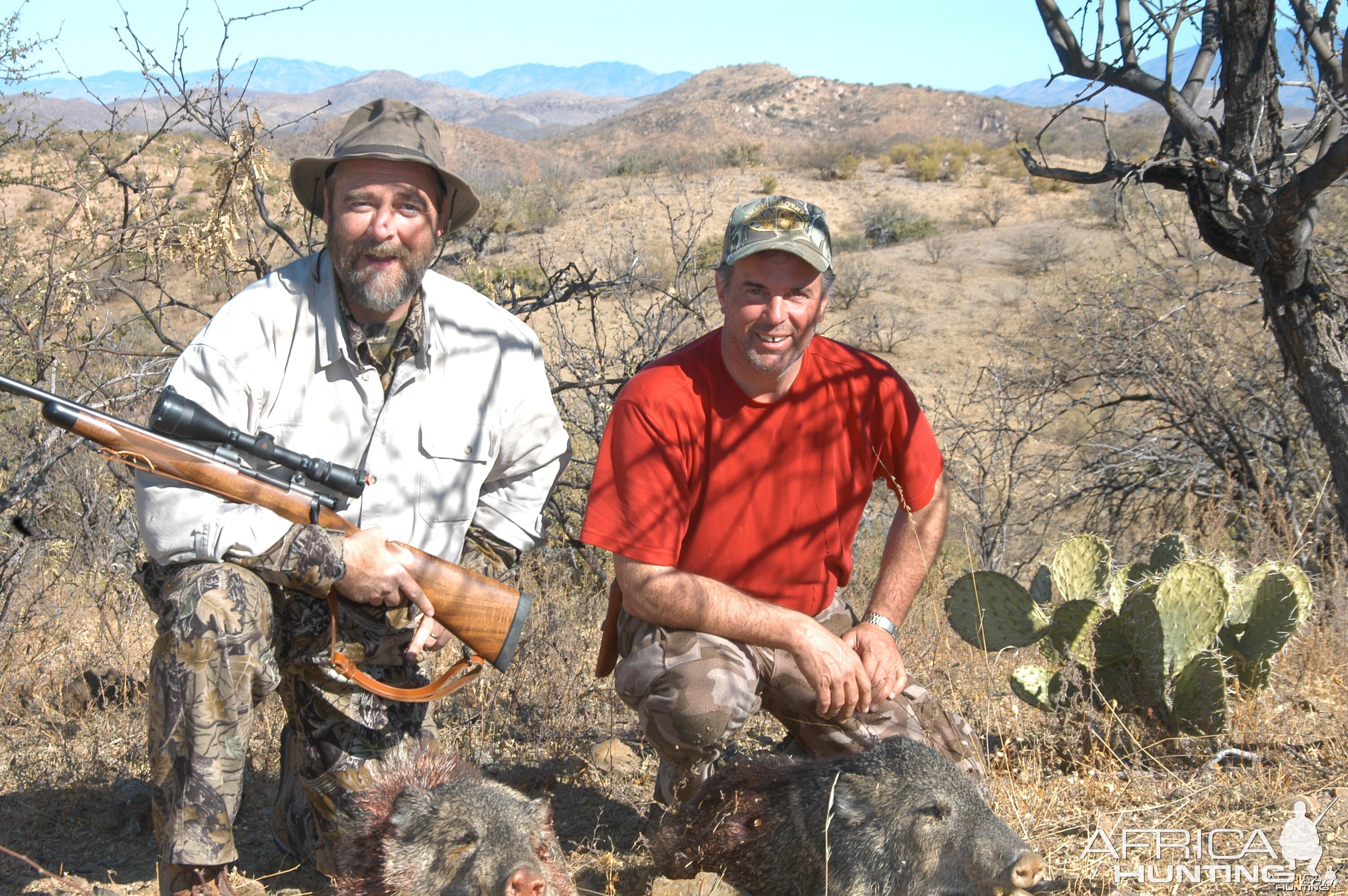 Javelina, Sonora, Mexico 2006