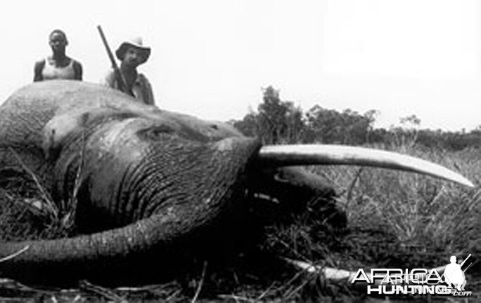 Jorge Alves de Lima, Professional Hunter, with Elephant