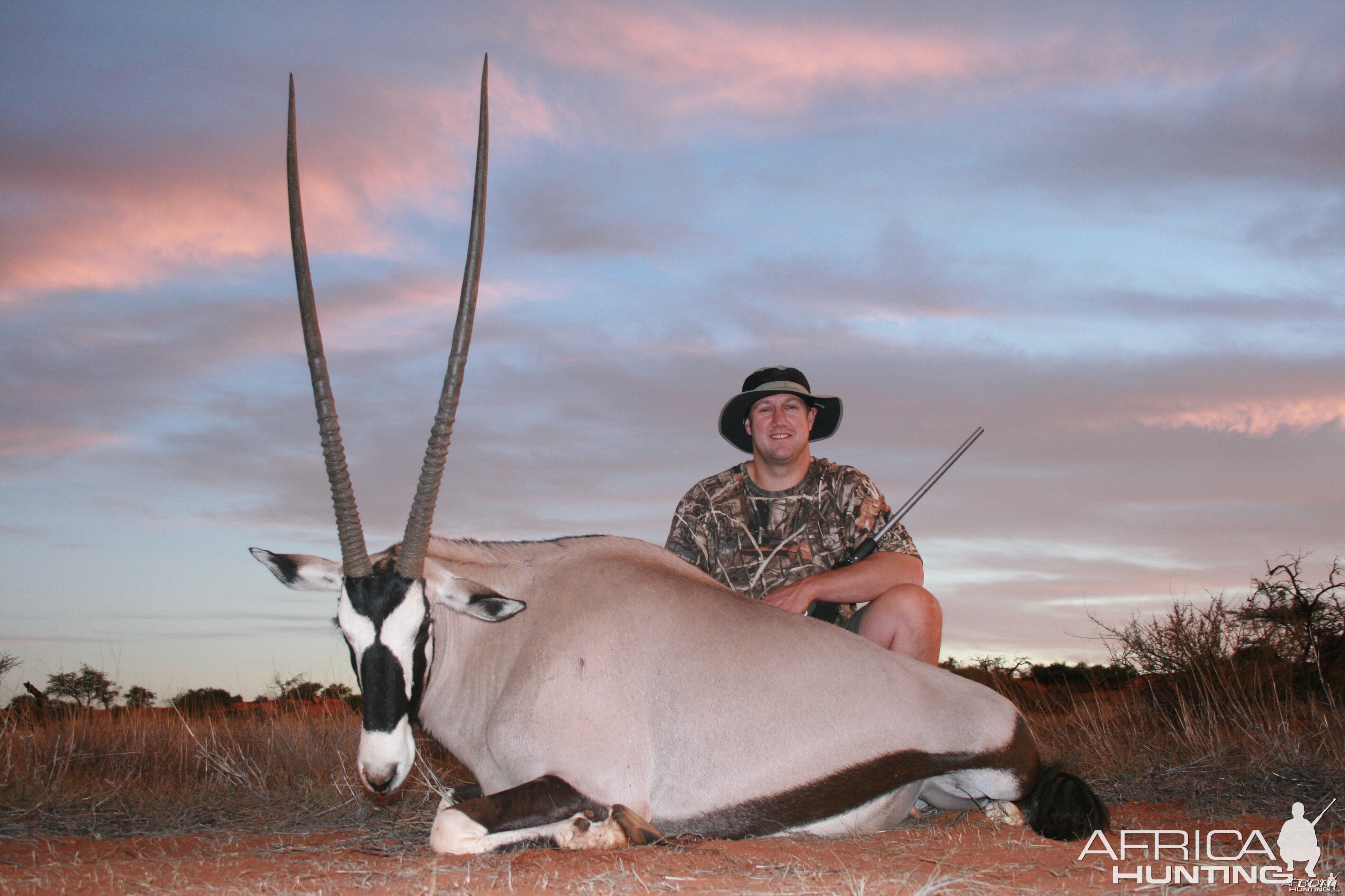 Kalahari Gemsbuck