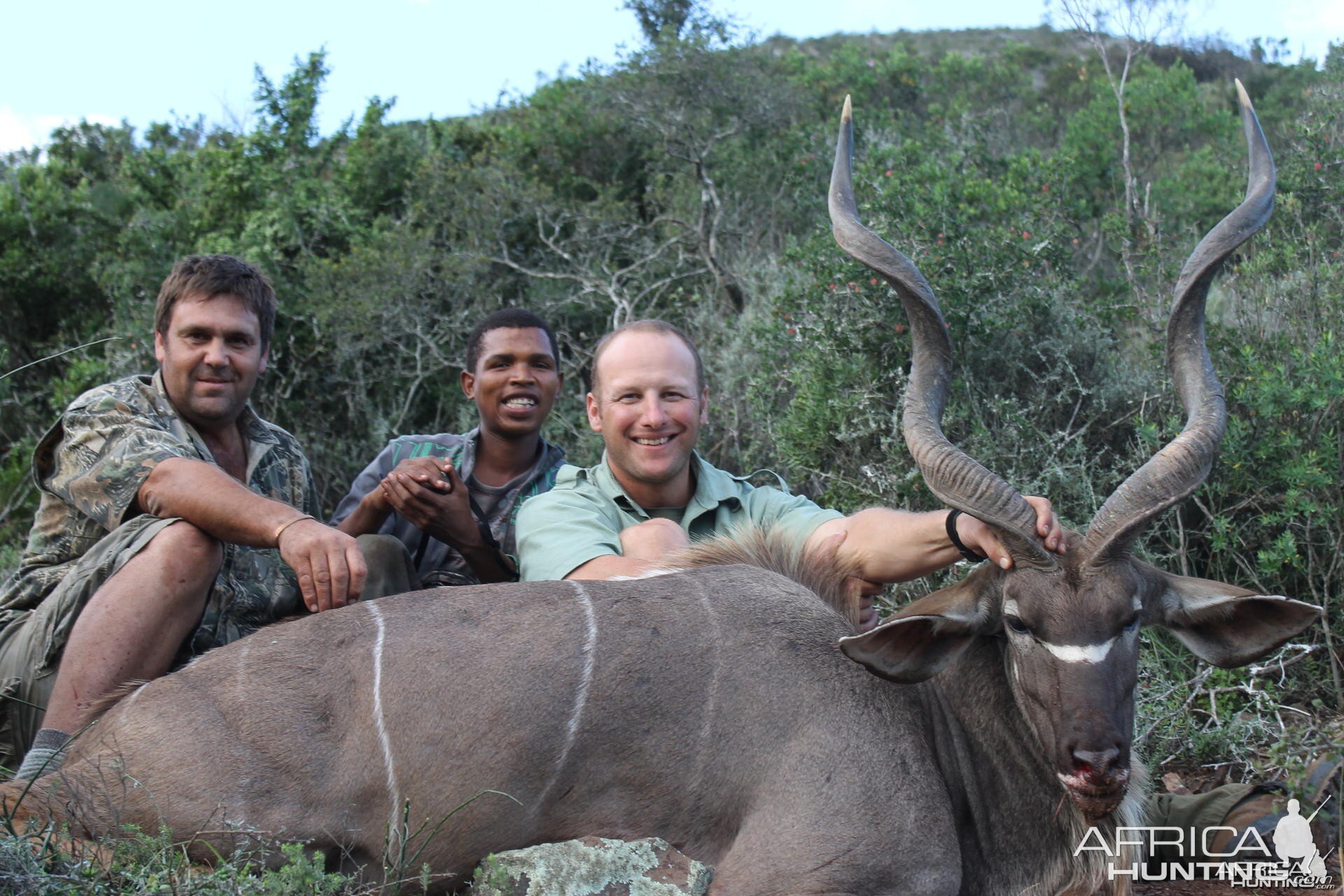 Kudu taken with Cape Valley Safaris