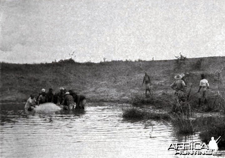 Landing the hippo shot by Theodore Roosevelt