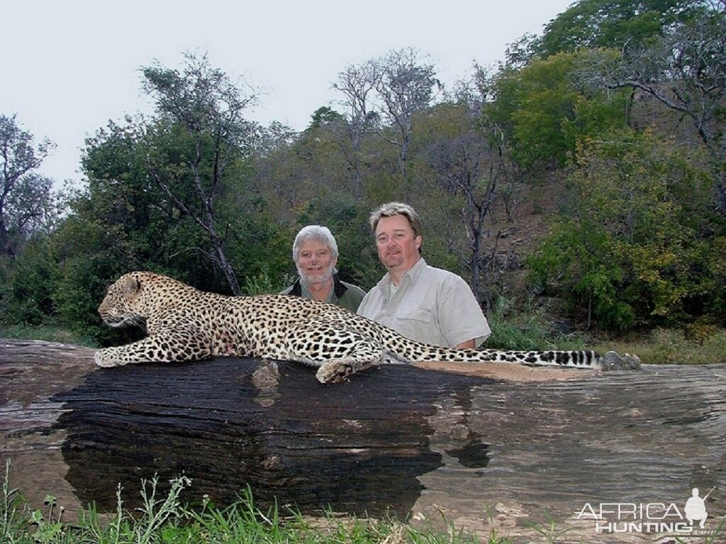 Leopard Hunt at Savuli Ranch, The Save, Zimbabwe